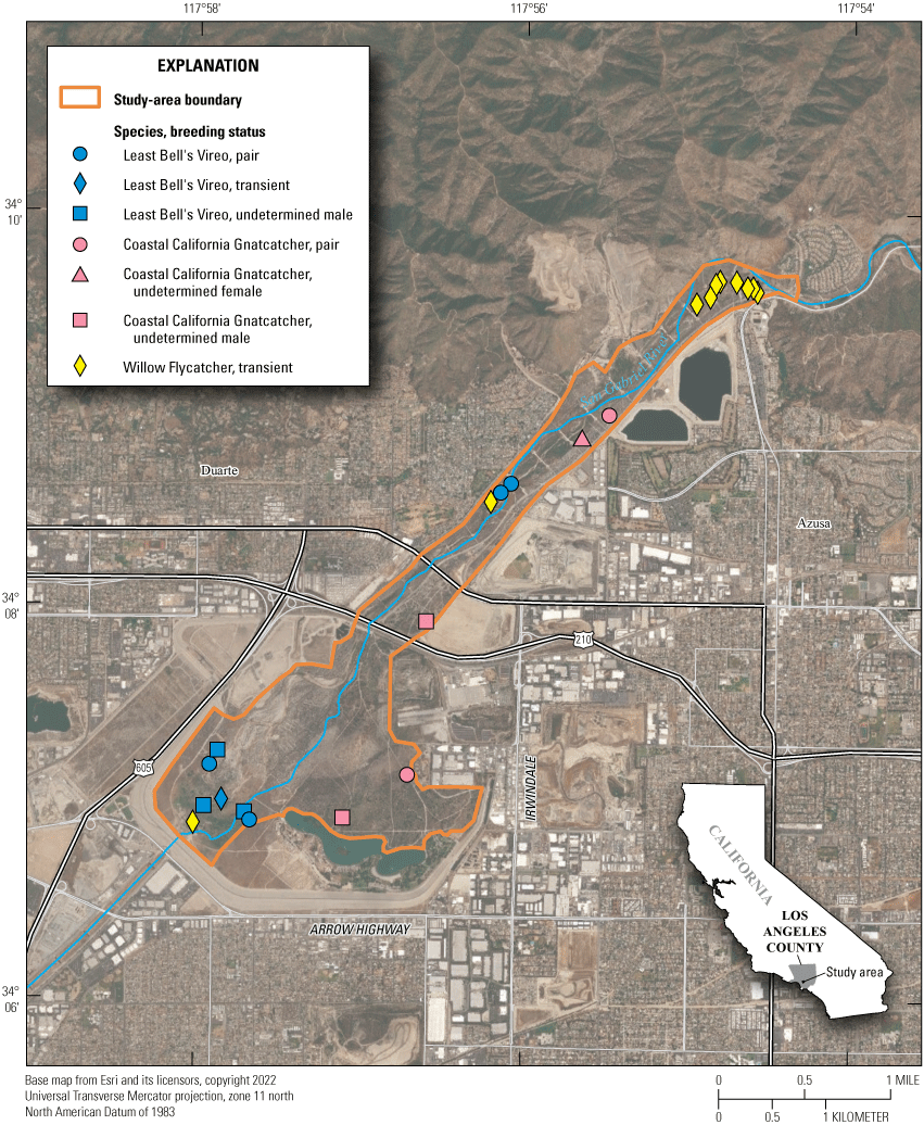 3. Aerial map showing study area outlined in orange with blue, pink, and yellow points
                     for bird locations.
