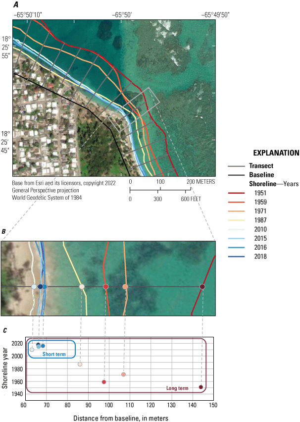 The shorelines, baselines, and transect used to calculate the rate of change over
                        time