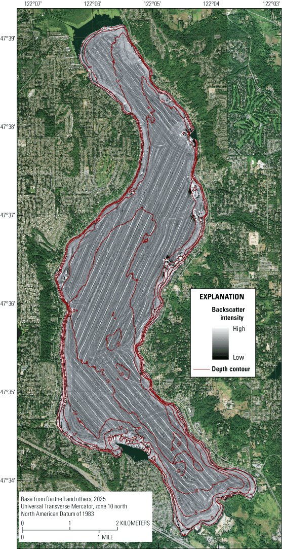 Land surrounding Lake Sammamish consists of neighborhoods and large areas of tree
cover. The backscatter intensity is mainly medium with thin parallel lines of high
intensity, creating stripes across the lake, more or less parallel to the shape of
the lake itself.
