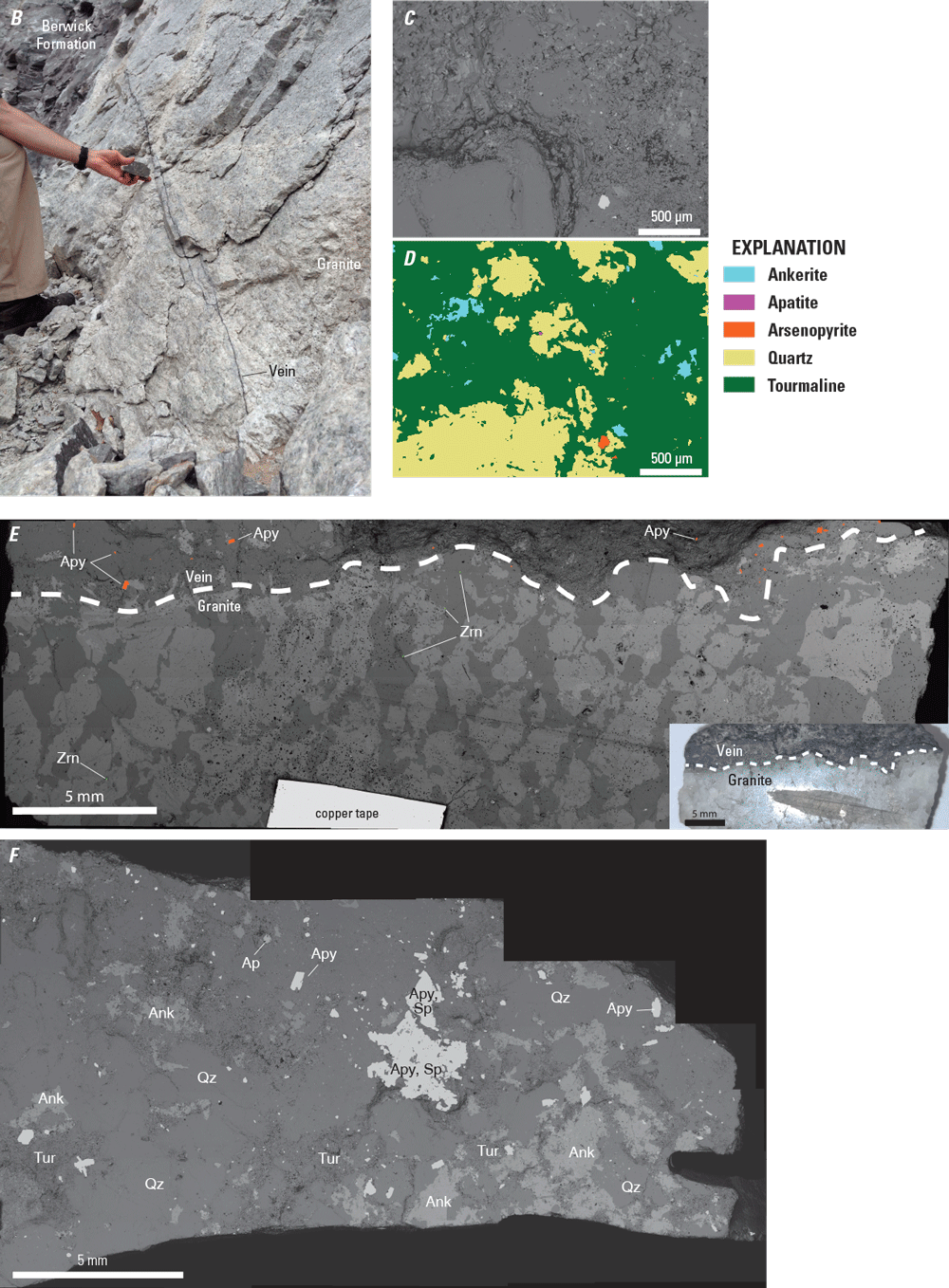 A, Lower hemisphere equal-area projection of contoured poles to fractures at locality
1; and B, Outcrop photograph of black veins consisting of quartz, tourmaline, and
ankerite at locality 1.