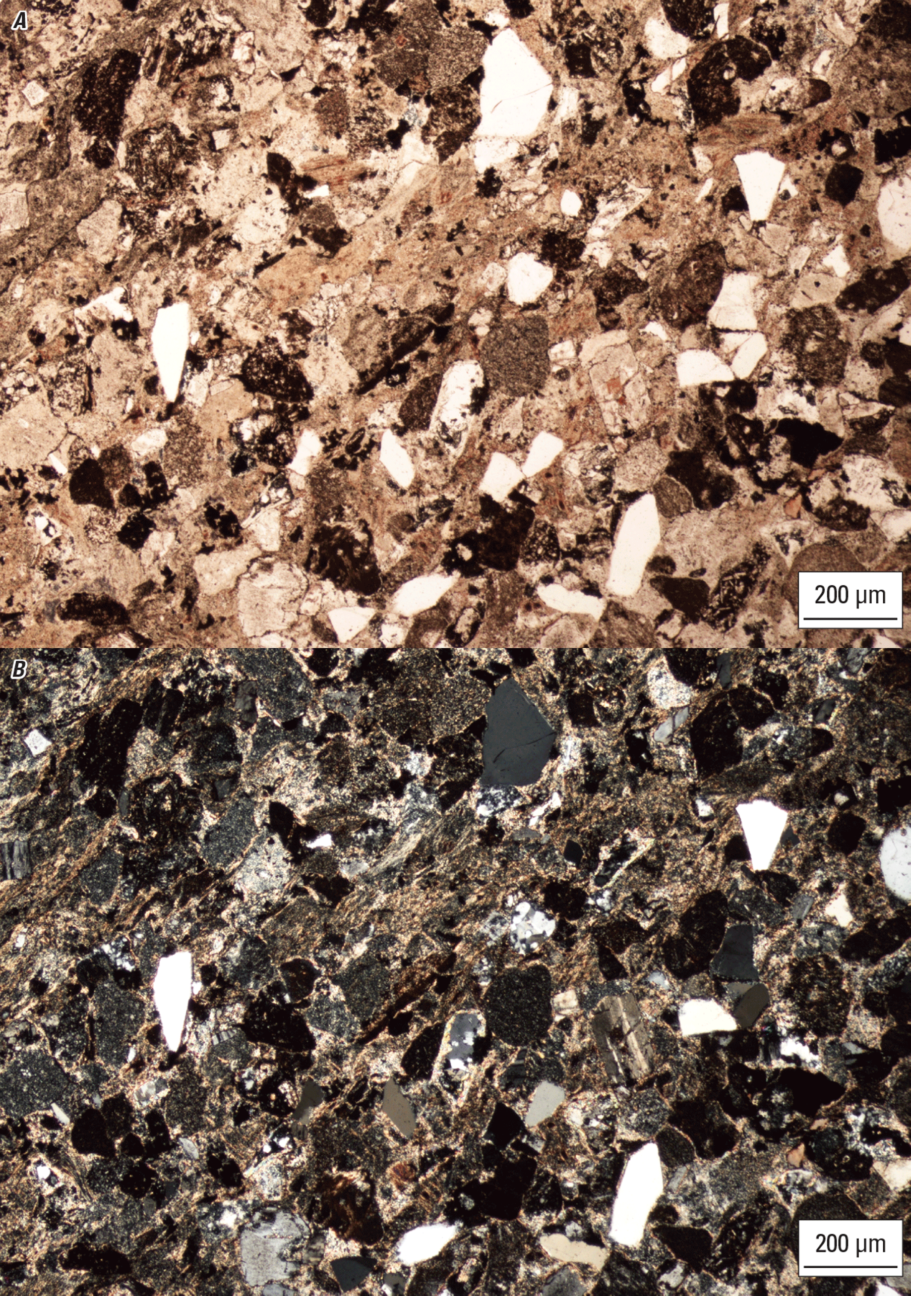 The magnified textures and structures of various clasts are shown.