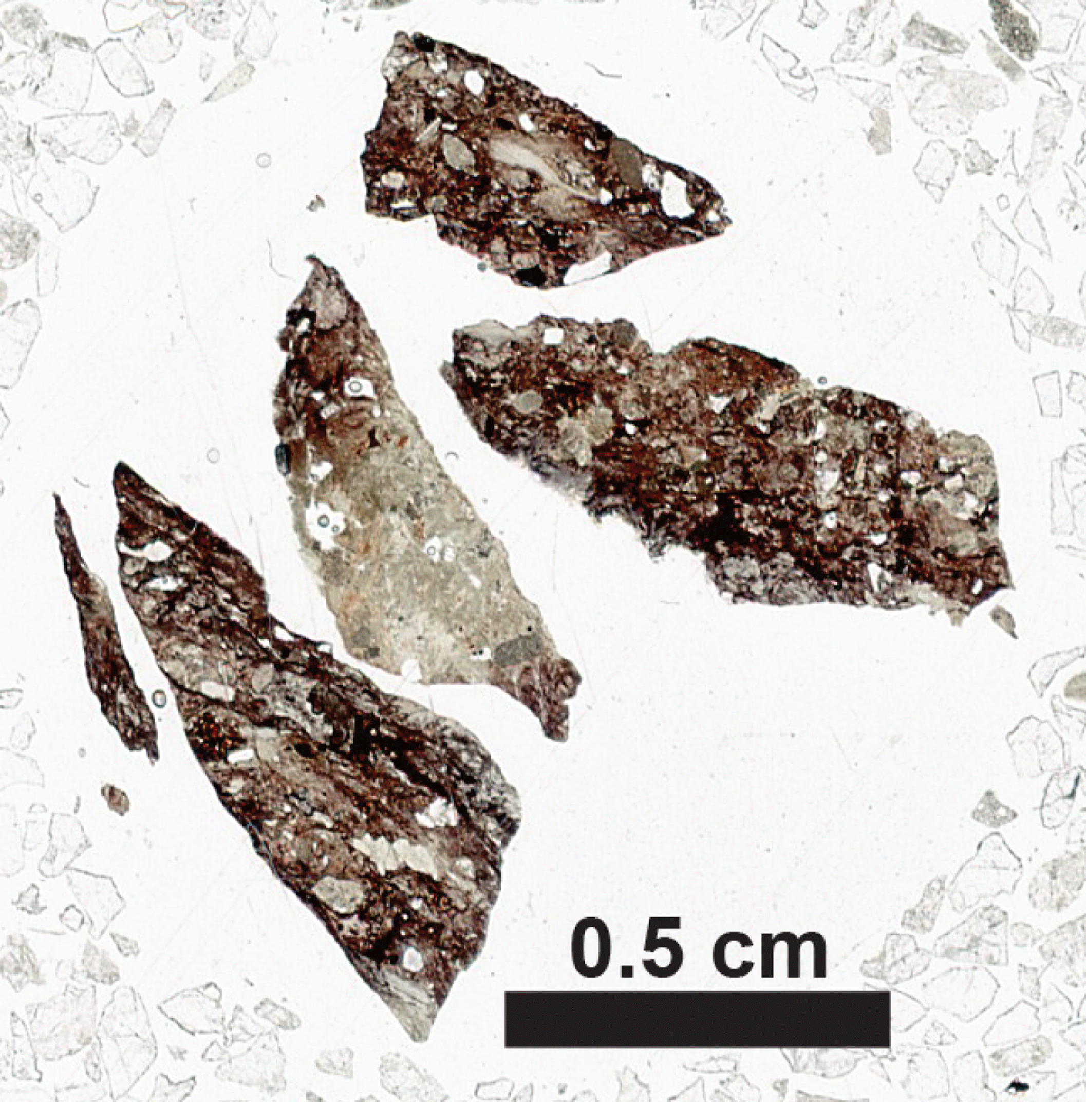 The magnified clasts in drill cuttings are shown.