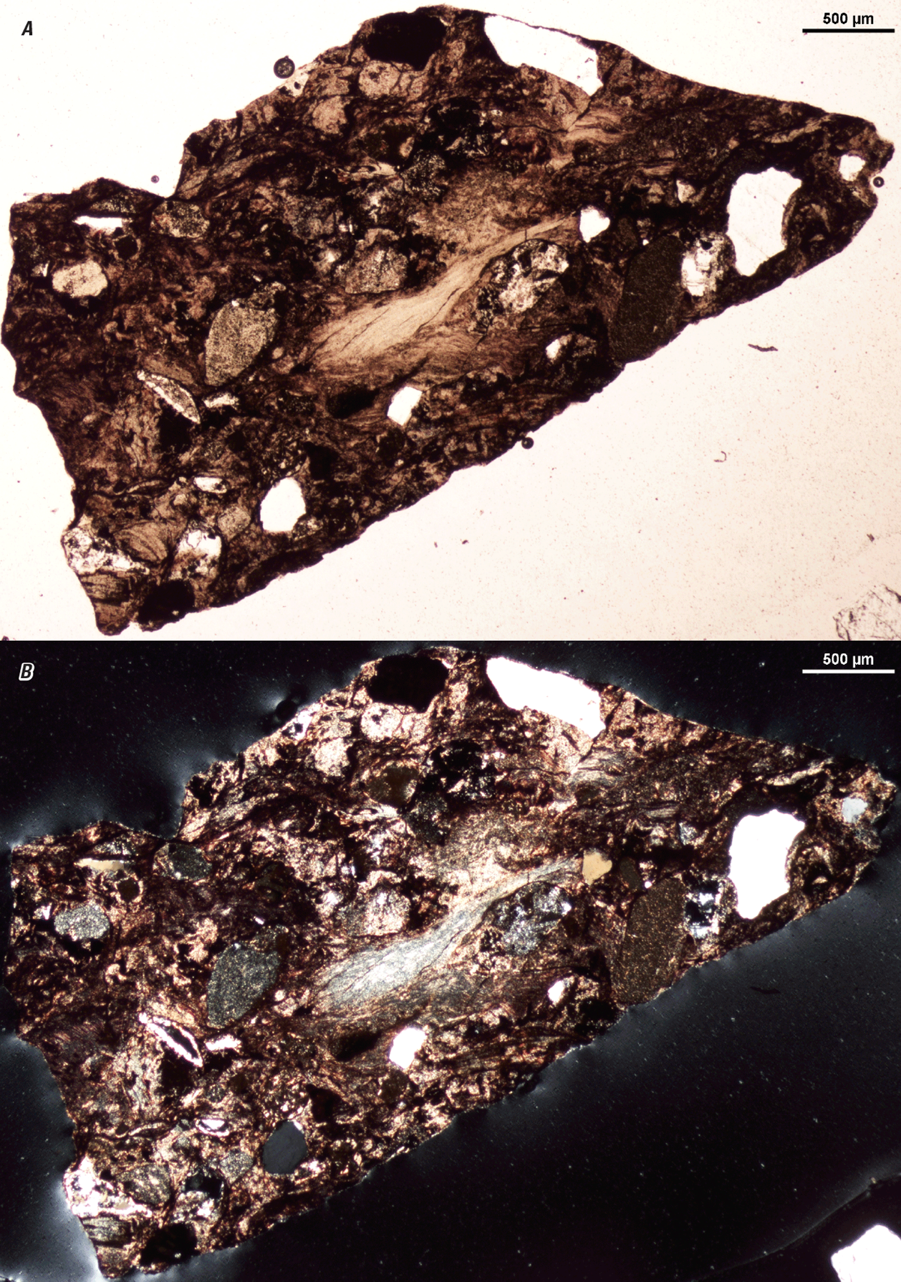 The magnified textures and structures of various clasts are shown in two kinds of
light.