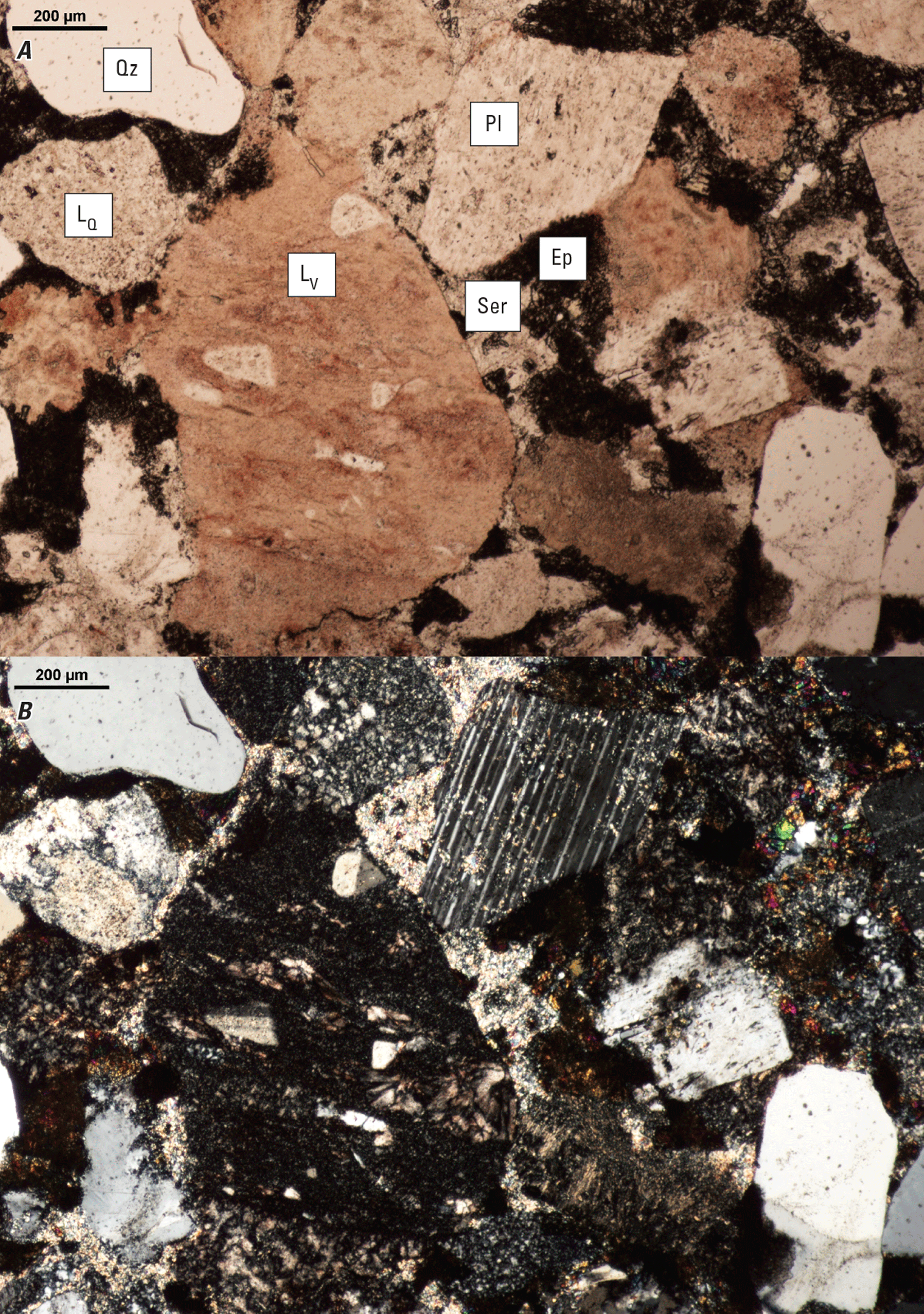 The magnified textures and structures of various clasts are shown in two kinds of
light.