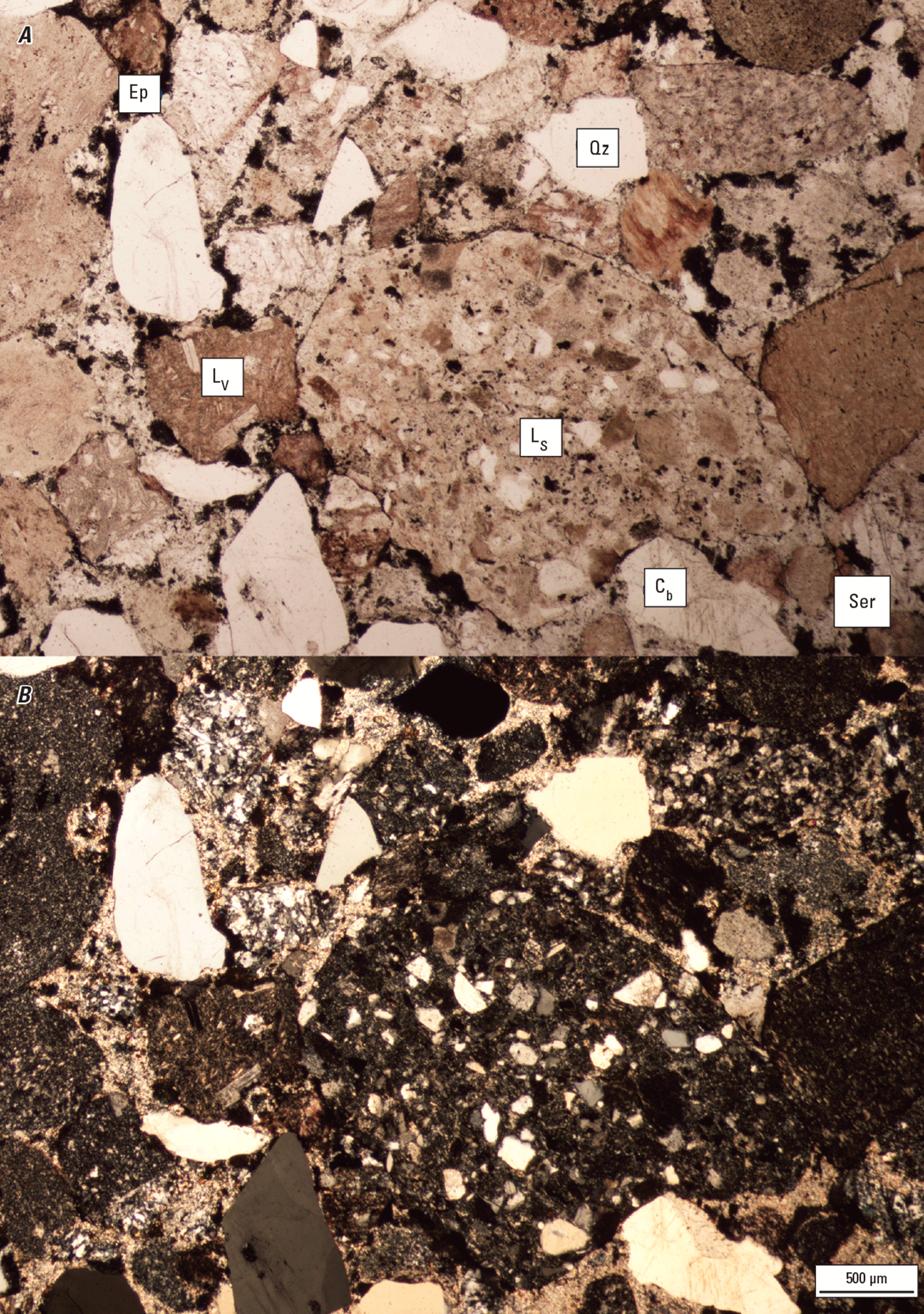 The magnified textures and structures of various clasts are shown in two kinds of
light.