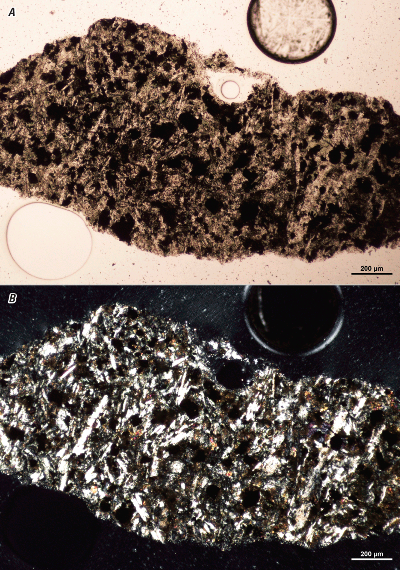 The magnified textures and structures of various minerals are shown in two kinds of
light.