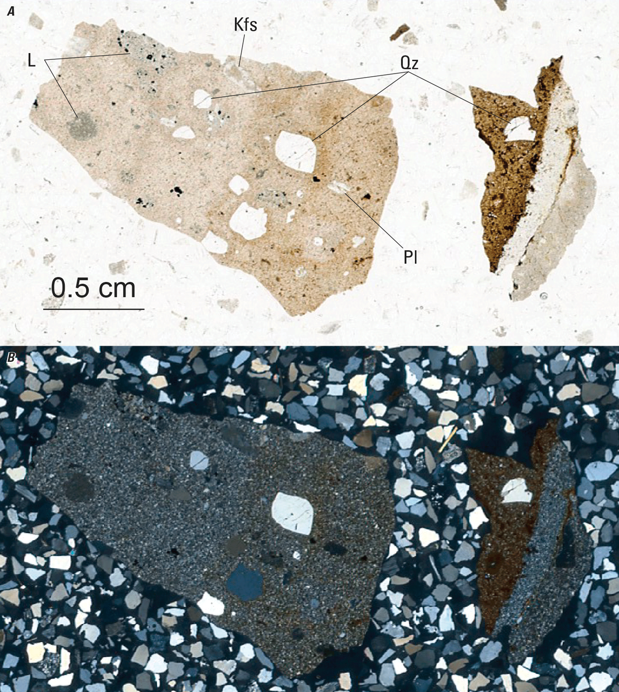 The magnified image of two core chips is shown in two kinds of light. Representative
minerals are labeled.