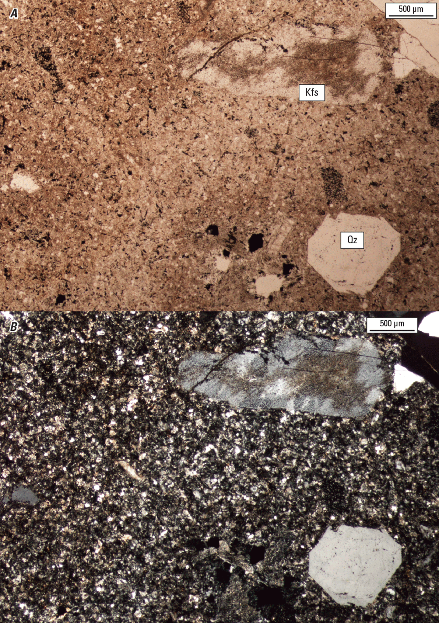 Magnified textures and structures of various minerals are shown in two kinds of light.
Representative minerals are labeled.