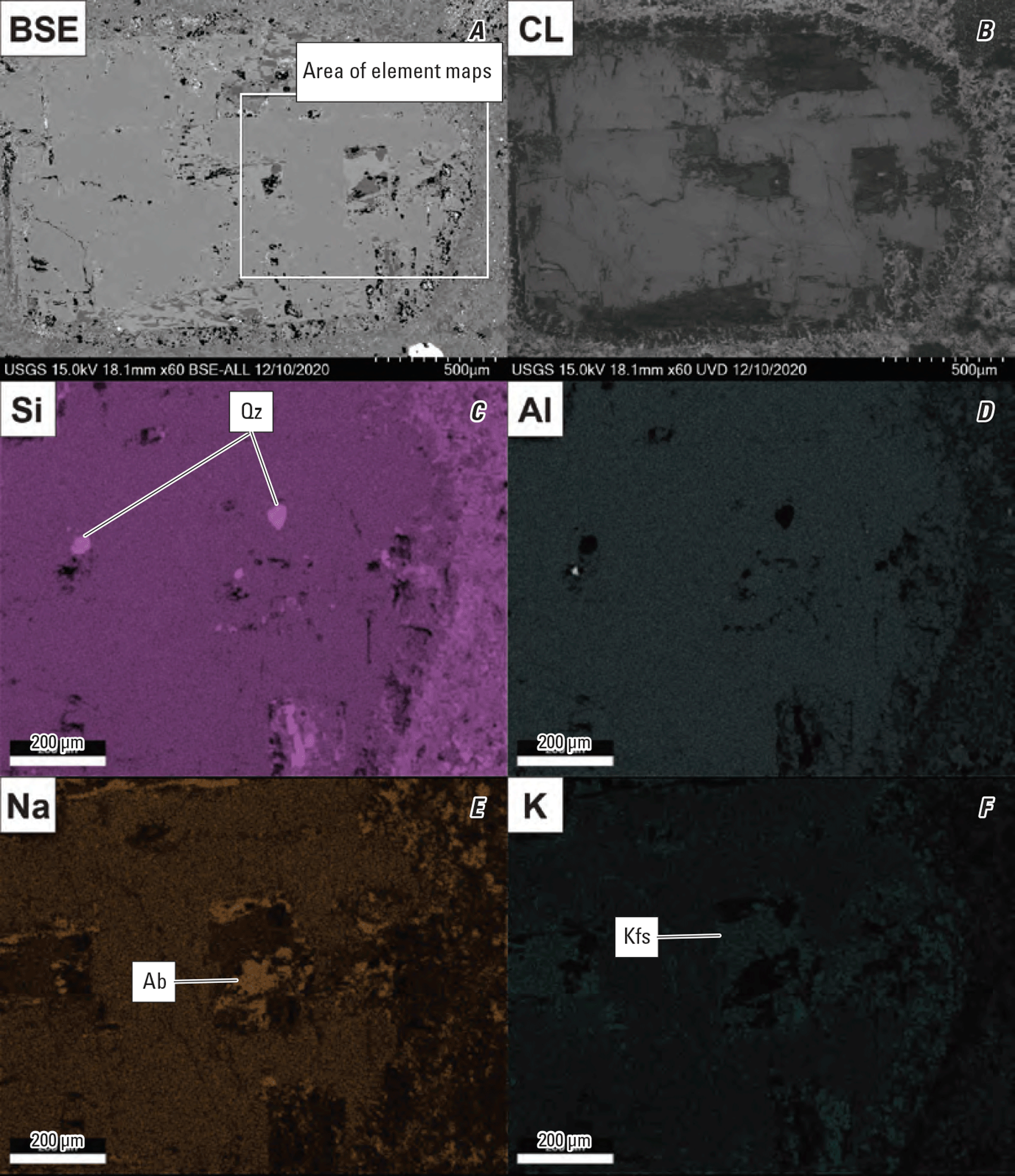 The element maps are of (C) silicon, (D) aluminum, (E) sodium, and (F) potassium.
Representative minerals are labeled.