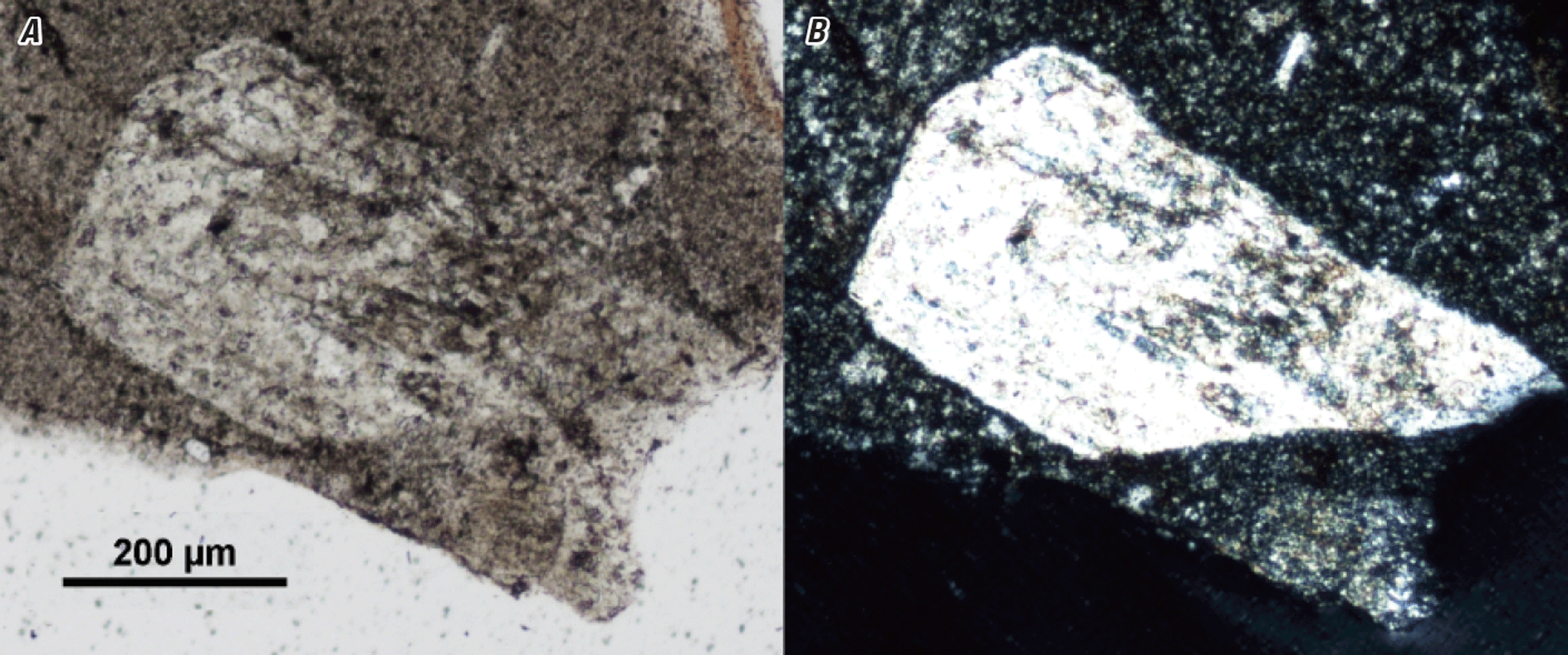 The magnified image of a crystal in matrix is shown in two kinds of light.