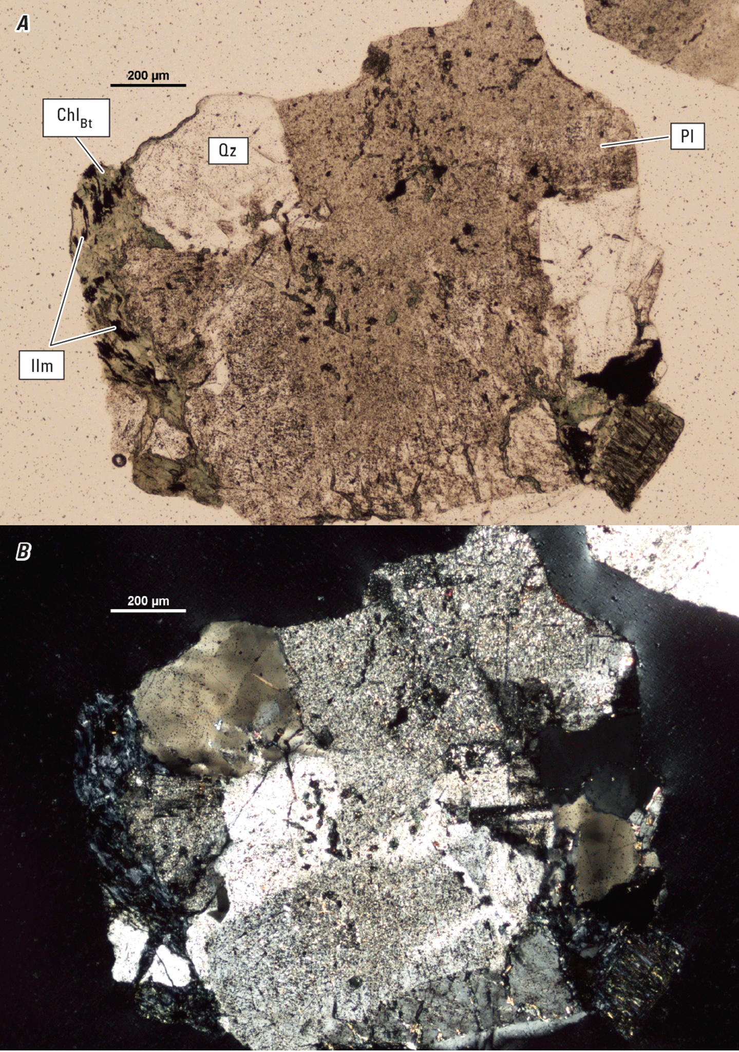 The magnified textures and structures of various minerals are shown in two kinds of
light.