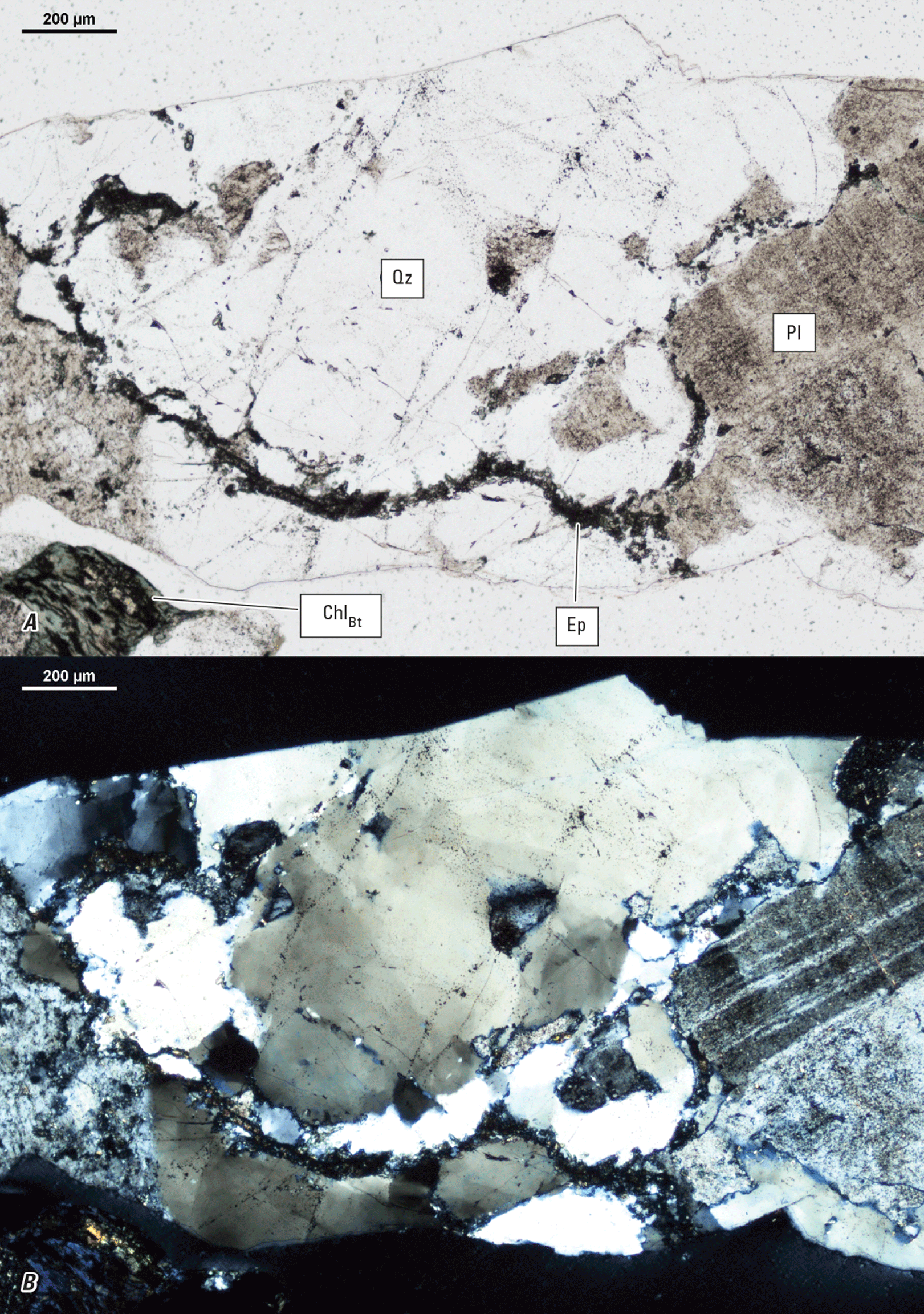 The magnified textures and structures of various minerals are shown in two kinds of
light.