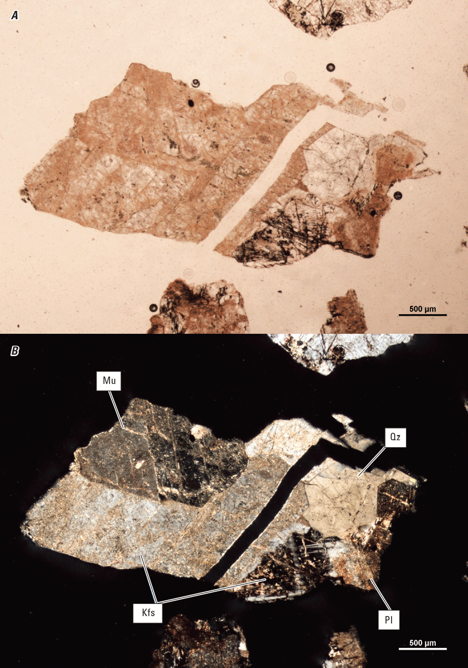 Magnified textures and structures of various minerals are shown in two kinds of light.
Representative minerals are labeled.