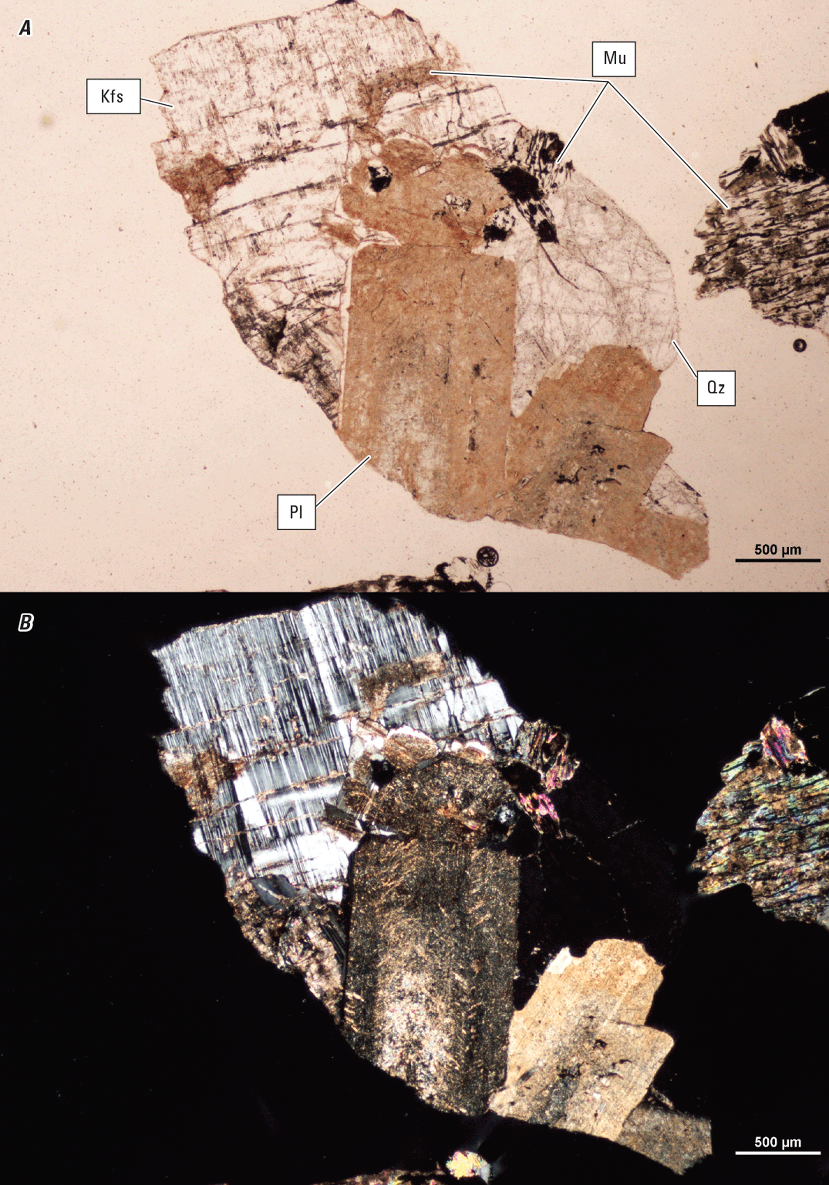 Magnified textures and structures of various minerals are shown in two kinds of light.
Representative minerals are labeled.