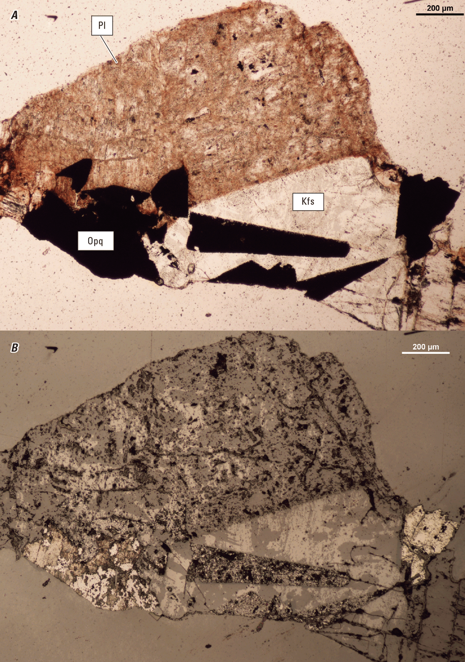 Magnified textures and structures of various minerals are shown in two kinds of light.
Representative minerals are labeled.