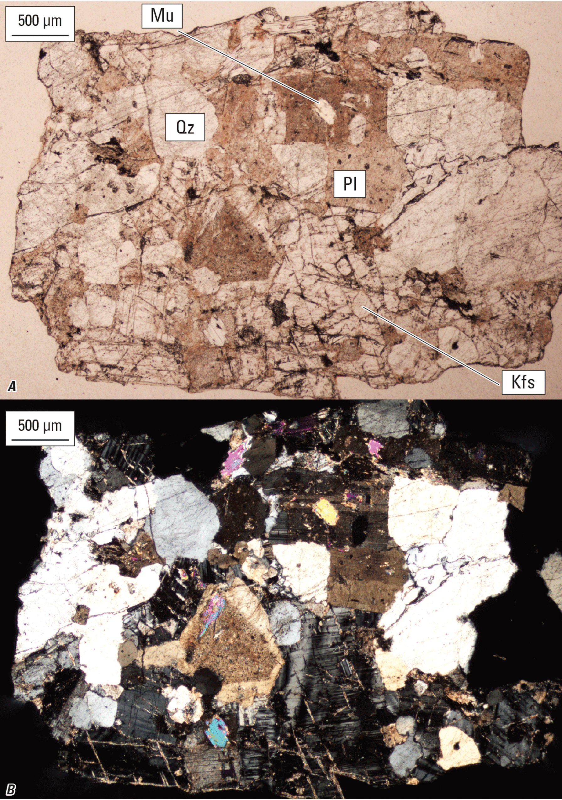 Magnified textures and structures of various minerals are shown in two kinds of light.
Representative minerals are labeled.