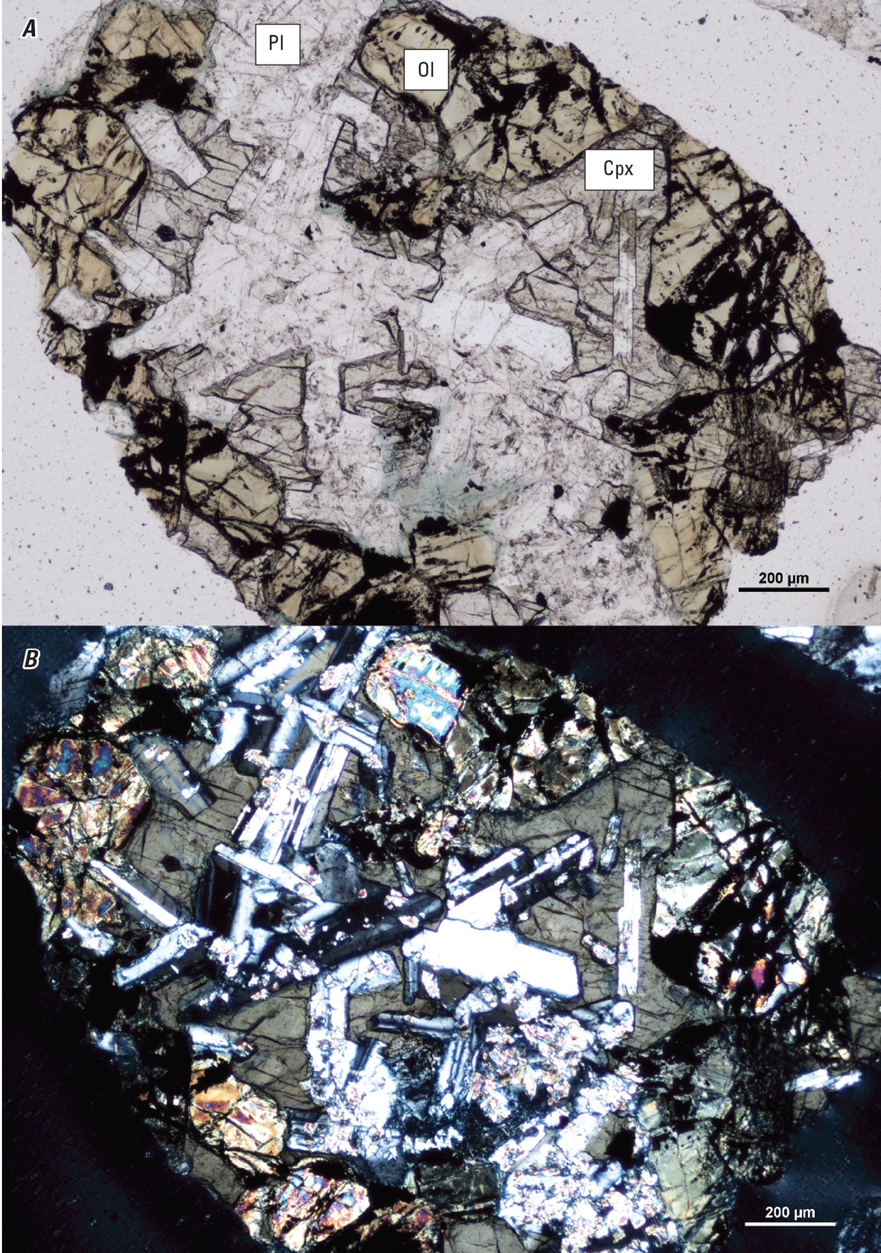 Magnified textures and structures of various minerals are shown in two kinds of light.
Representative minerals are labeled.