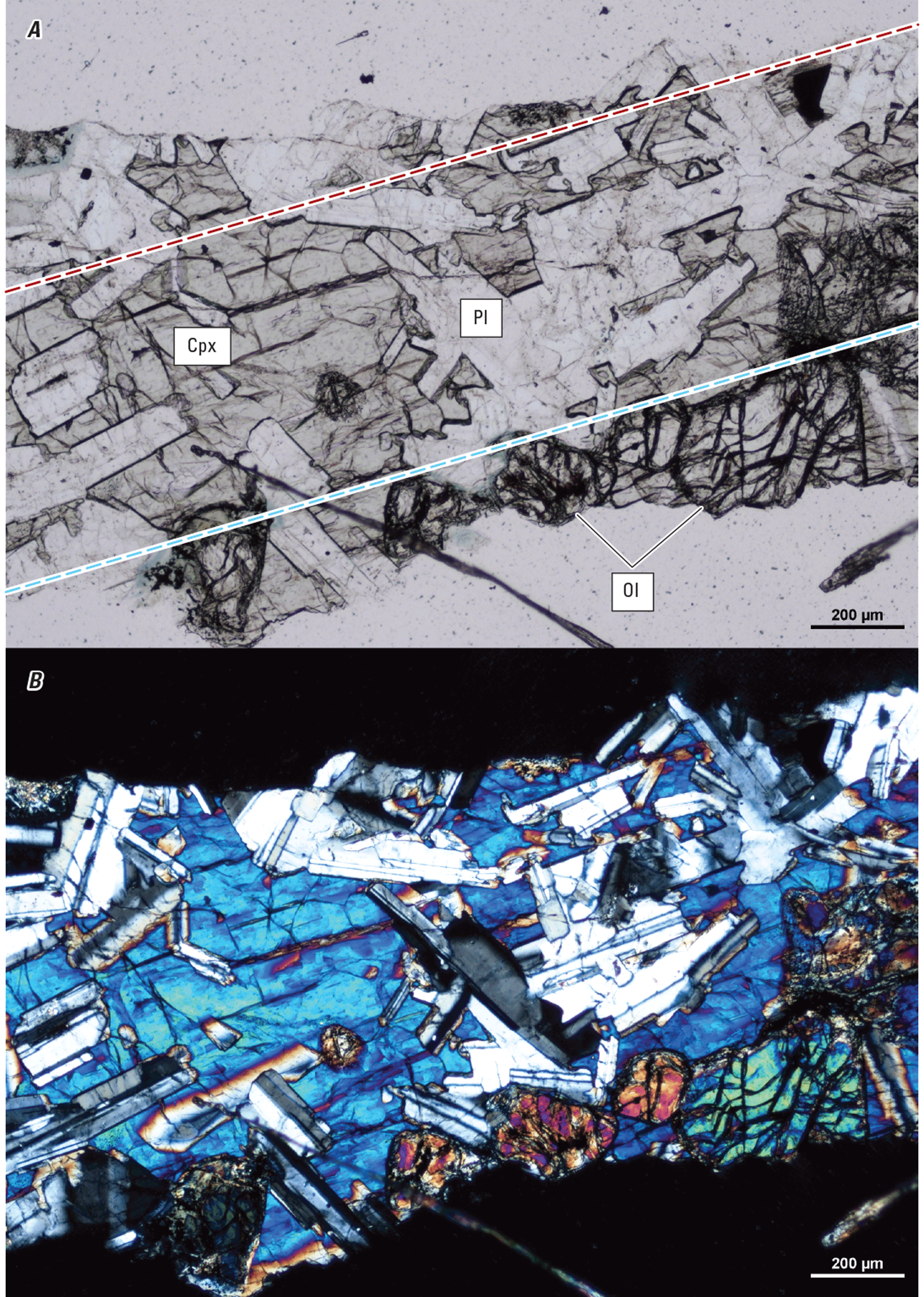 Magnified textures and structures of various minerals are shown in two kinds of light.
Minerals and structures are labeled.