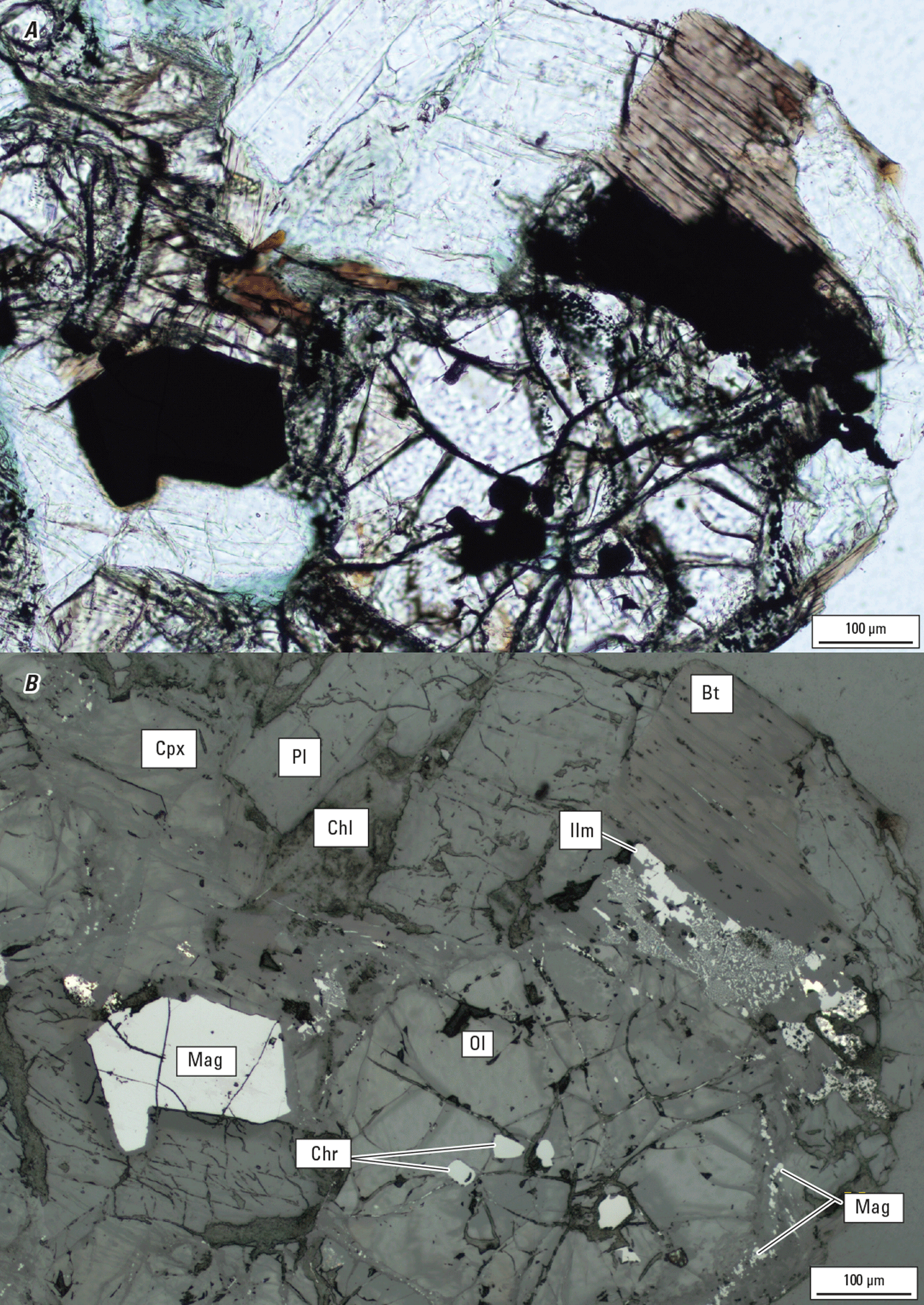Magnified textures and structures of various minerals are shown in two kinds of light.
Representative minerals are labeled.