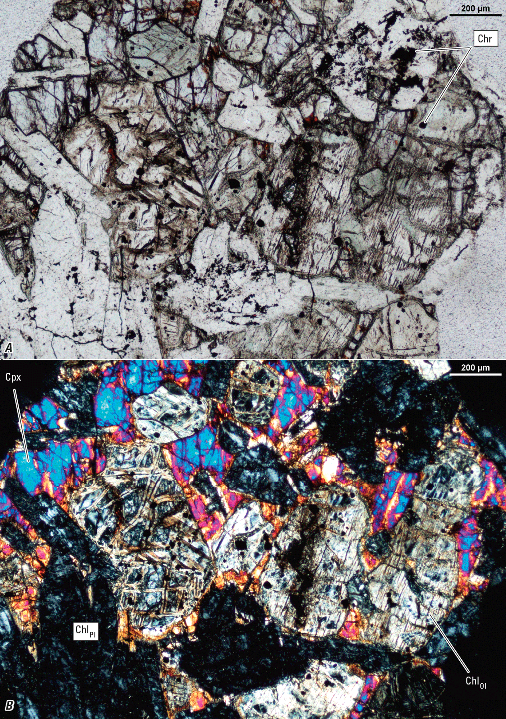 Magnified textures and structures of various minerals are shown in two kinds of light.
Representative minerals are labeled.
