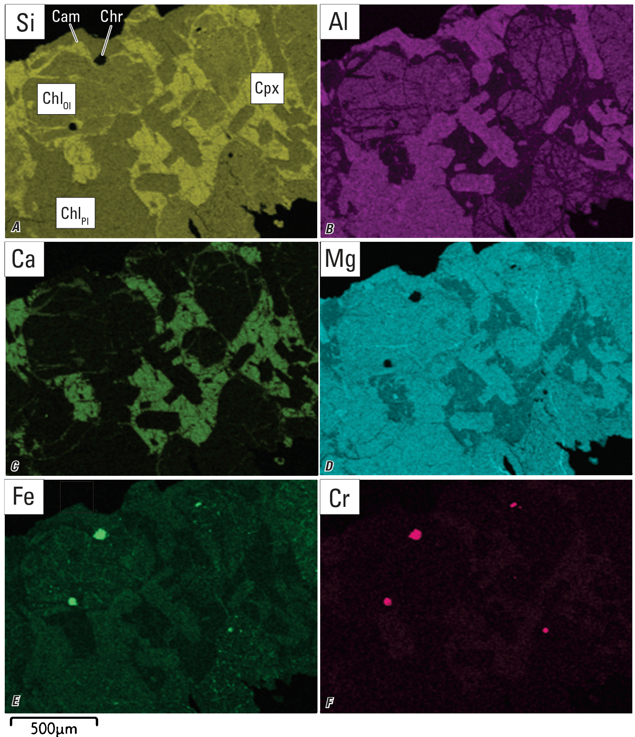 Element maps for (A) silicon, (B) aluminum, (C) calcium, (D) magnesium, (E) iron,
and (F) chromium. Some minerals are labeled.