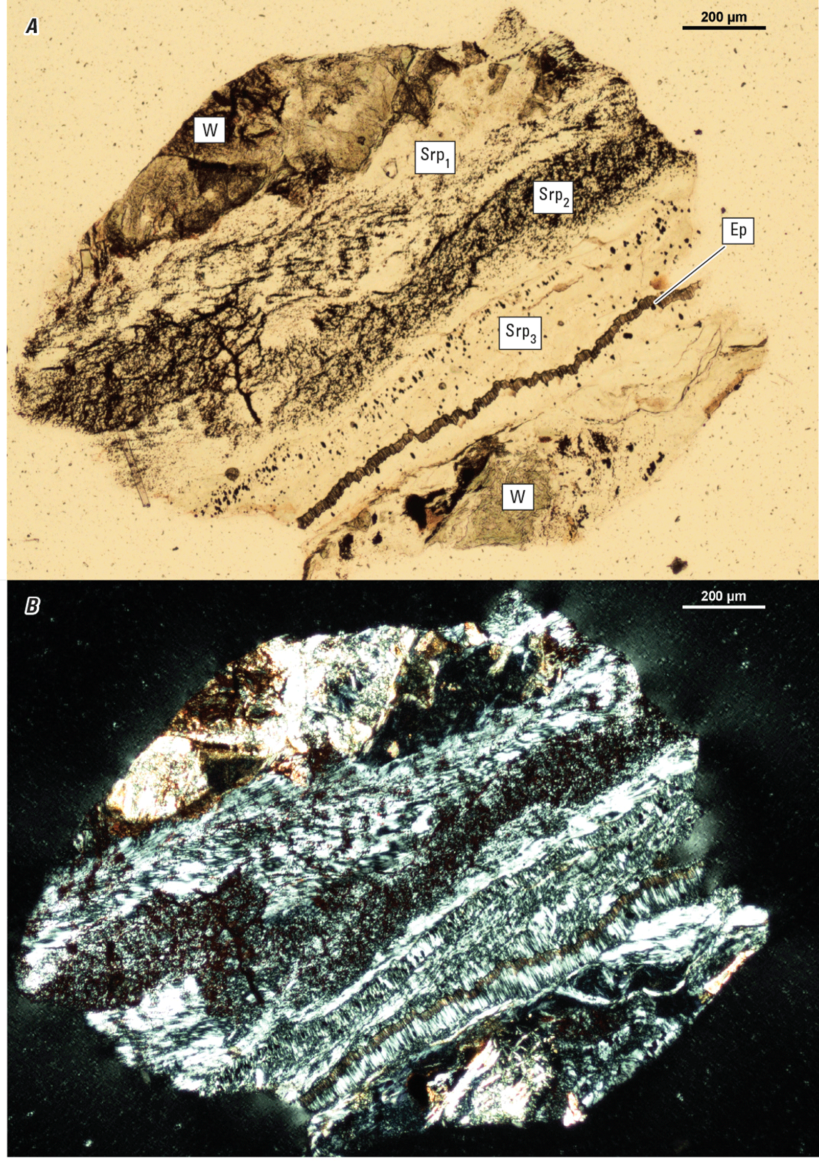 The magnified textures and structures of various minerals are shown. Representative
mineral populations are labeled.