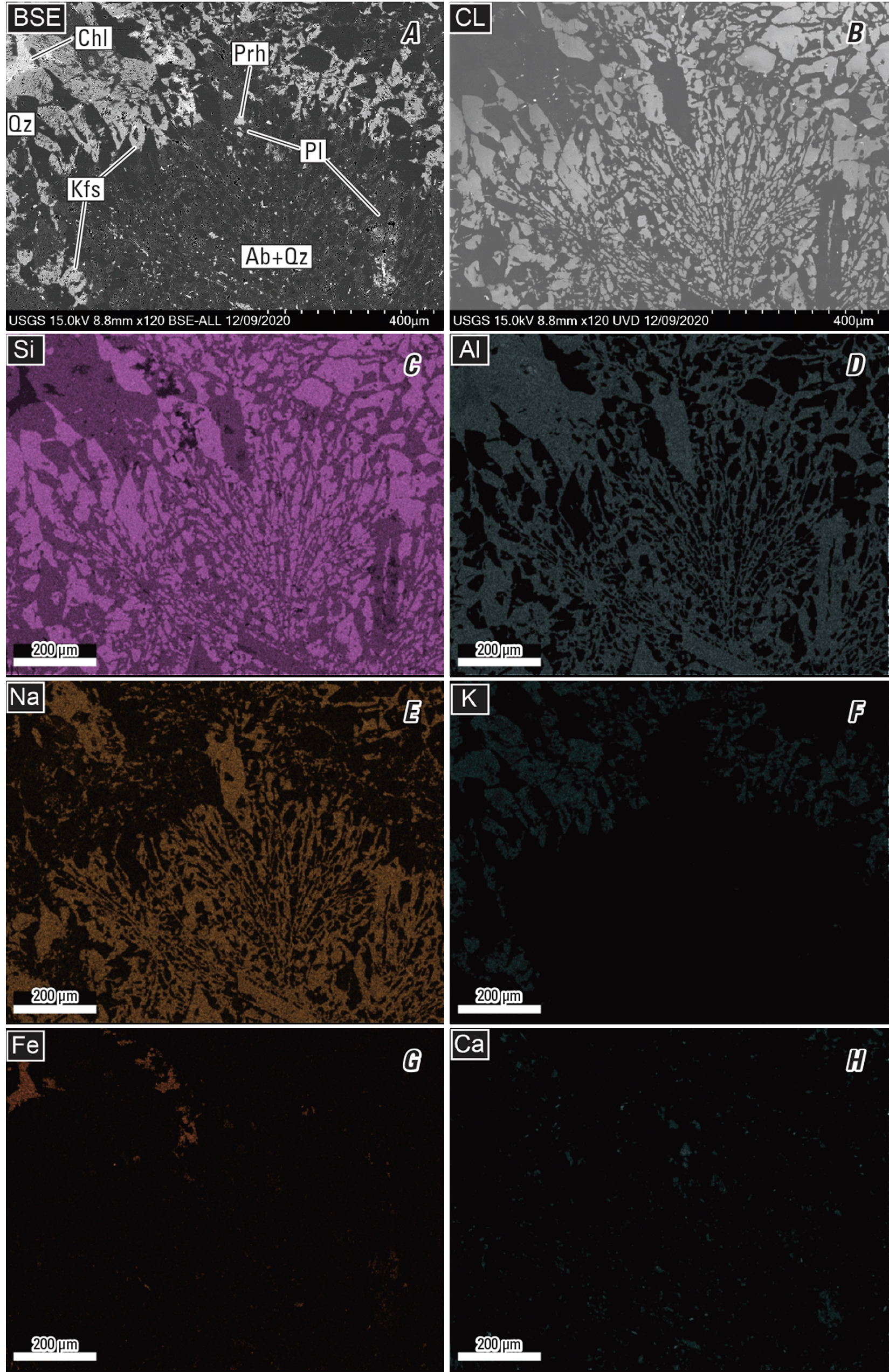 The element maps are of (C) silicon, (D) aluminum, (E) sodium, (F) potassium, (G)
iron, and (H) calcium.