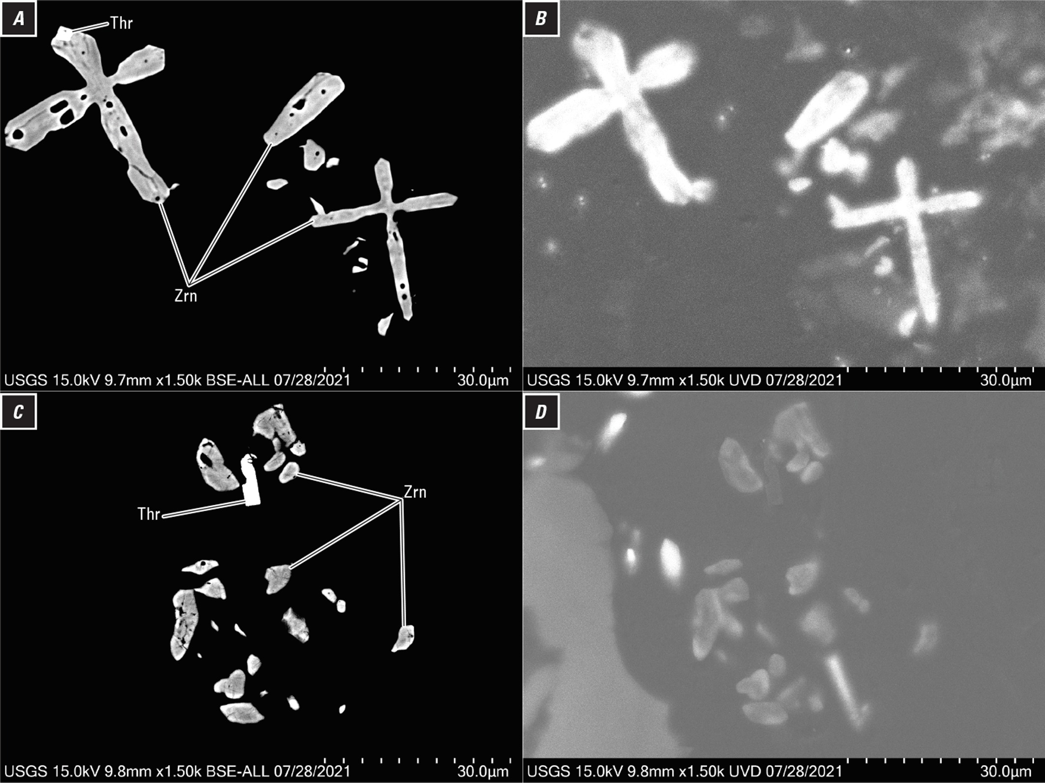 Two areas are shown in pairs of (A and C) BSE and (B and D) CR images. Representative
minerals are labeled.