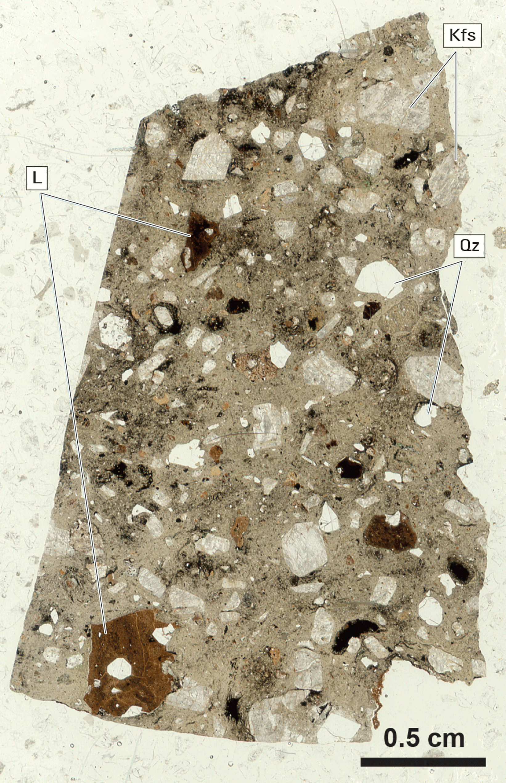 Magnified textures and structures of various minerals are shown in two kinds of light.
Some minerals and clasts are labeled.