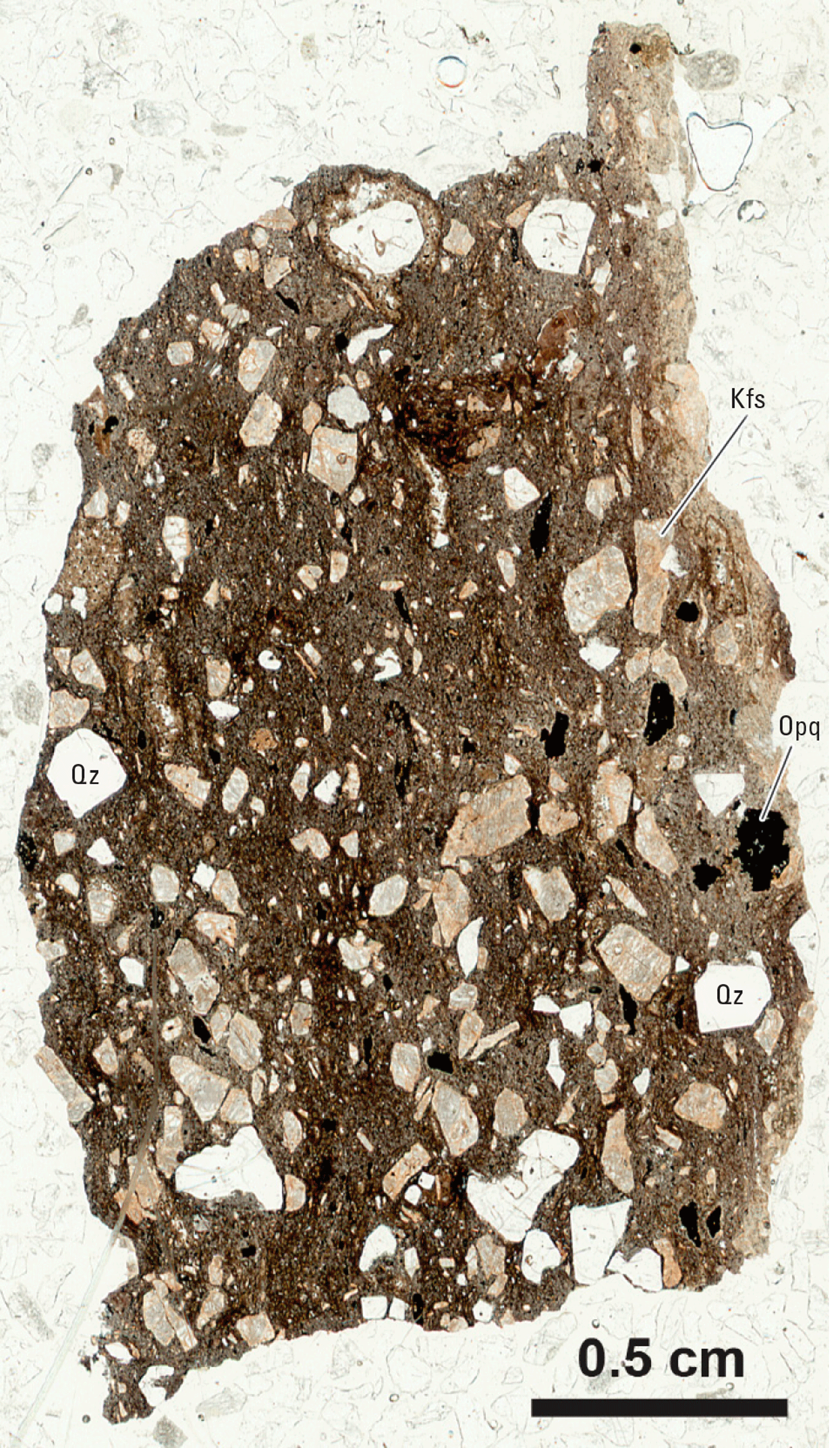 Magnified textures and structures of various minerals are shown in two kinds of light.
Some minerals and clasts are labeled.