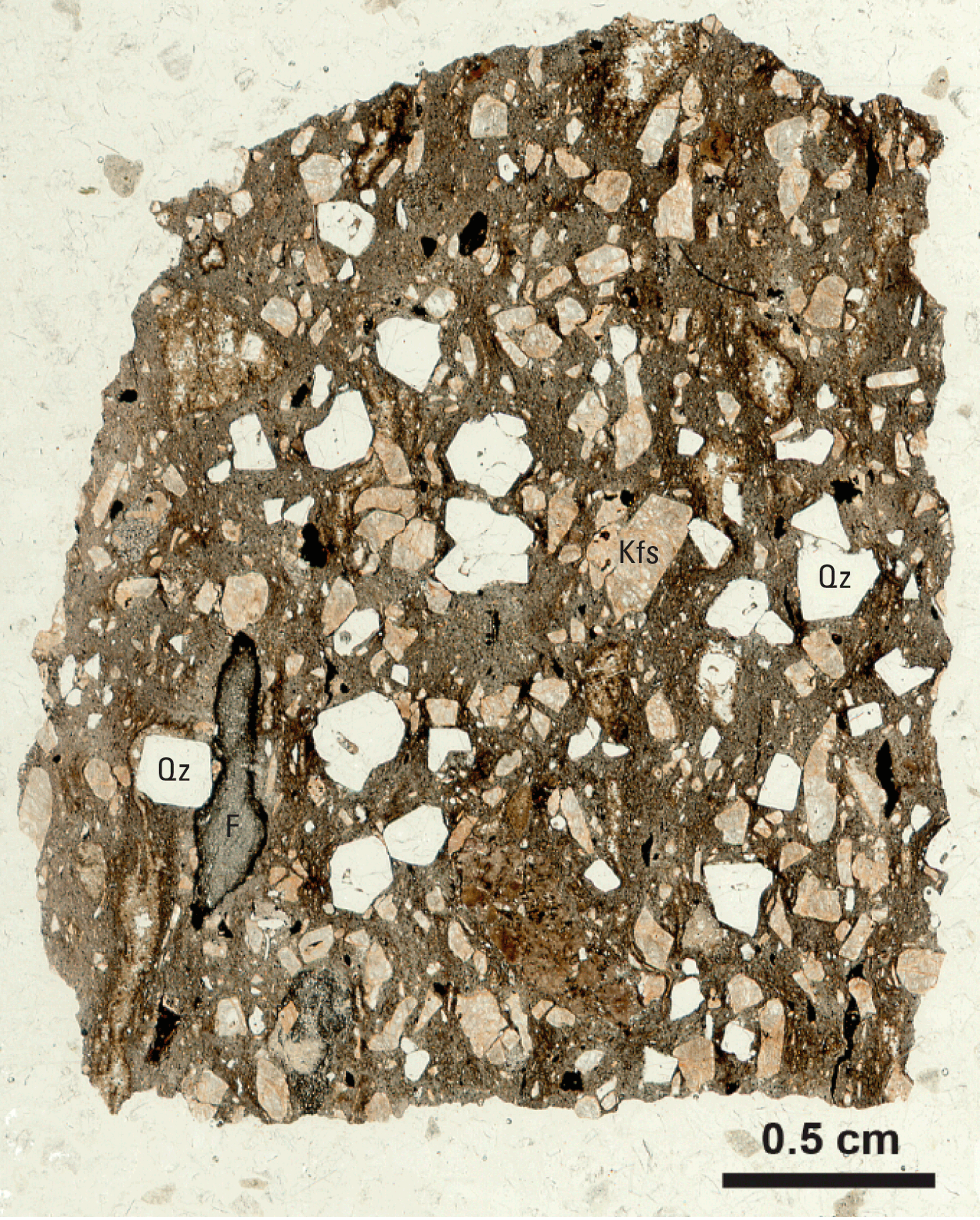Magnified textures and structures of various minerals are shown in two kinds of light.
Some minerals and clasts are labeled.