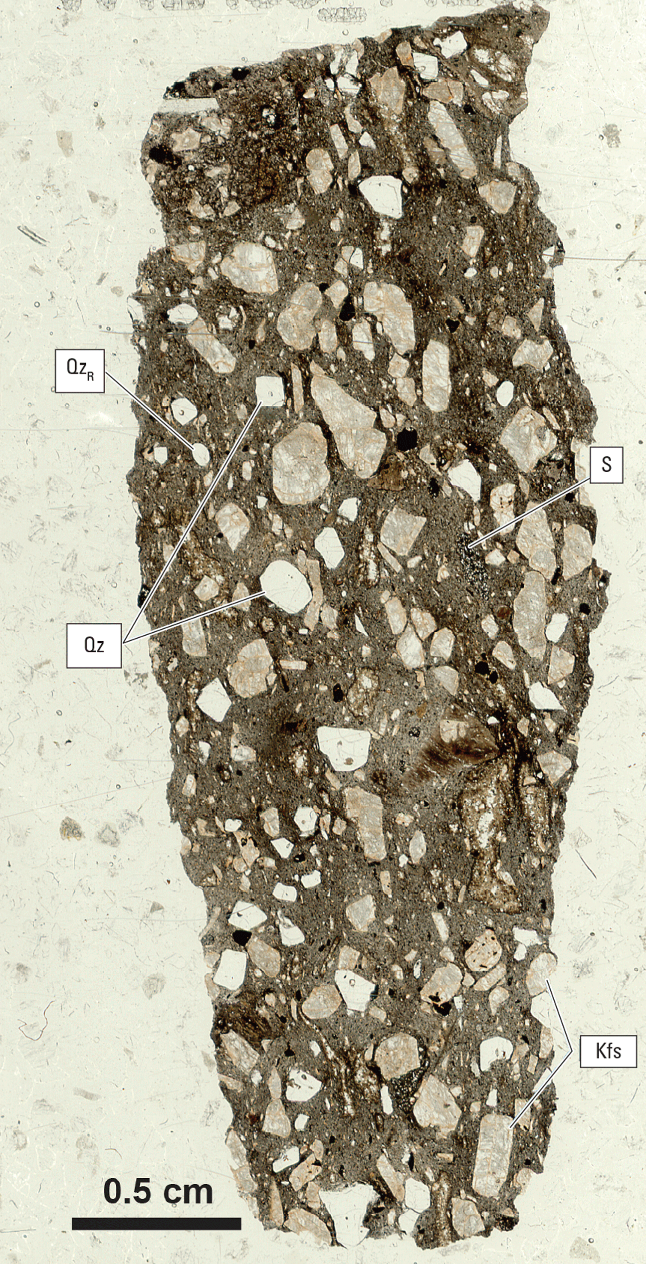 Magnified textures and structures of various minerals are shown in two kinds of light.
Some minerals and clasts are labeled.