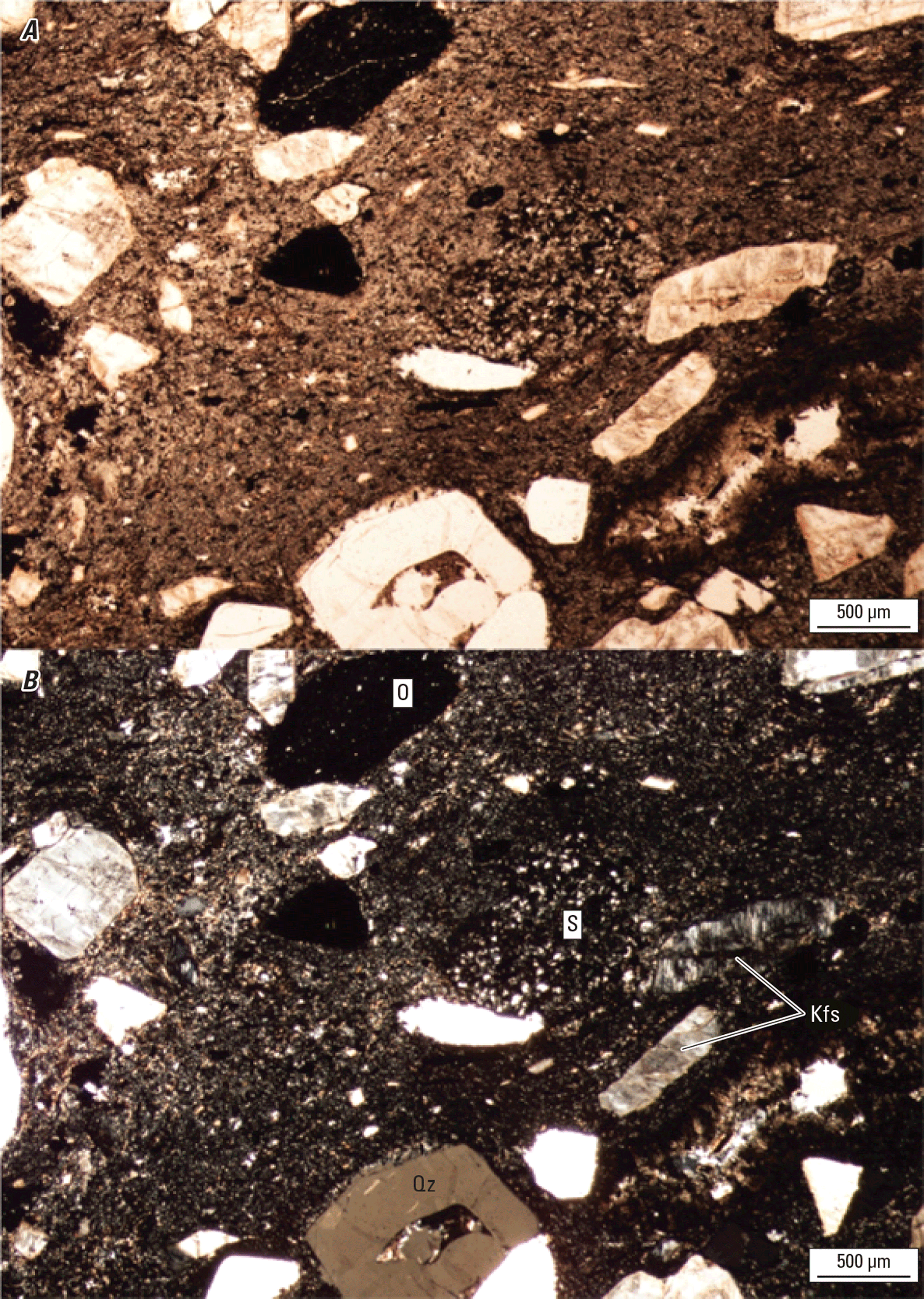 Magnified textures and structures of various minerals are shown in two kinds of light.
Some minerals and clasts are labeled.