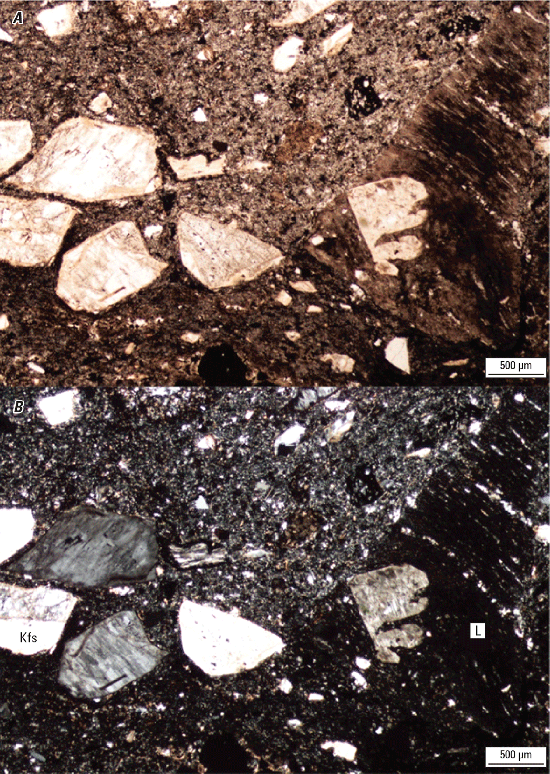 Magnified textures and structures of various minerals are shown in two kinds of light.
Some minerals and clasts are labeled.