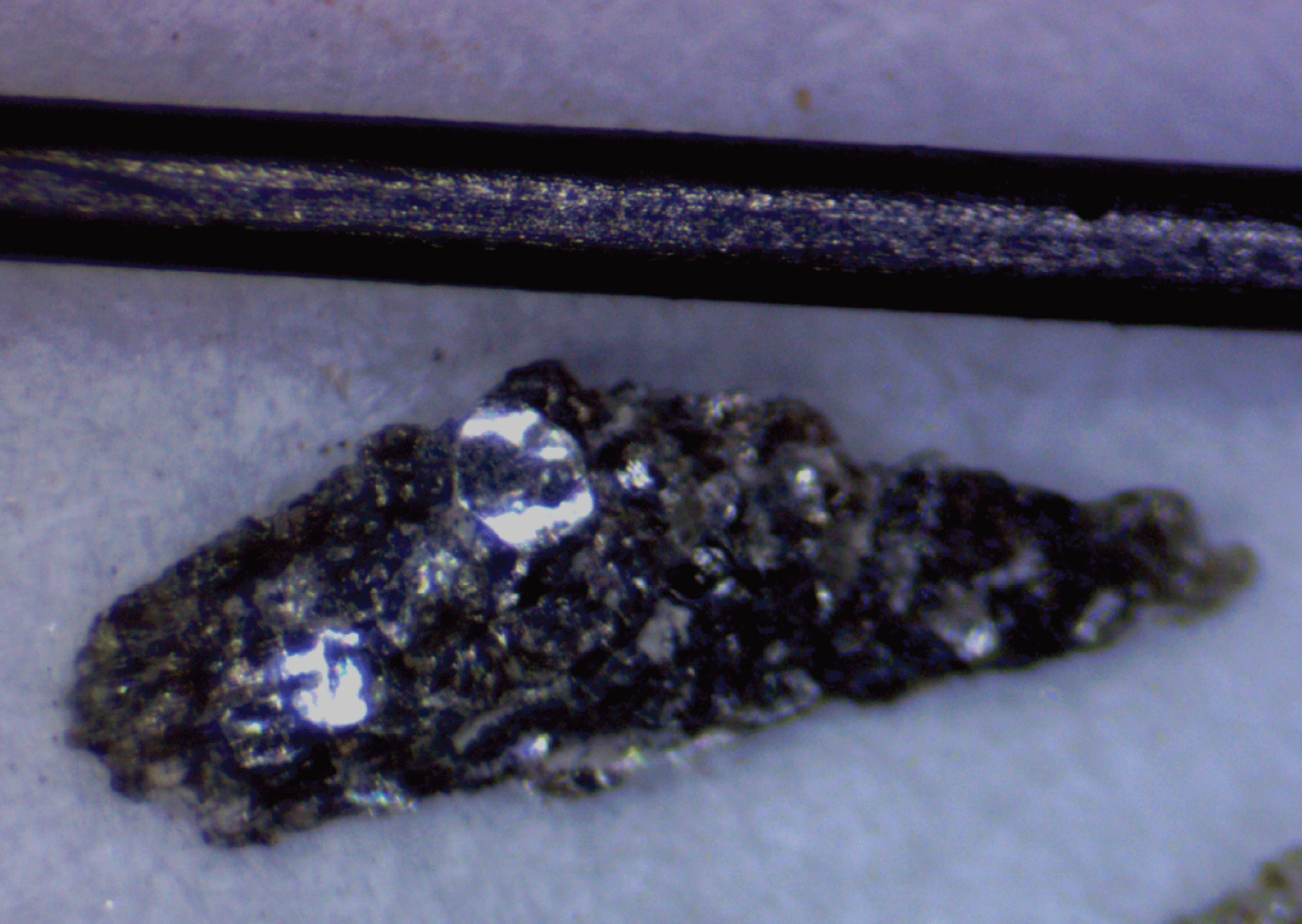 The fragment is shown next to a metal pin for scale.