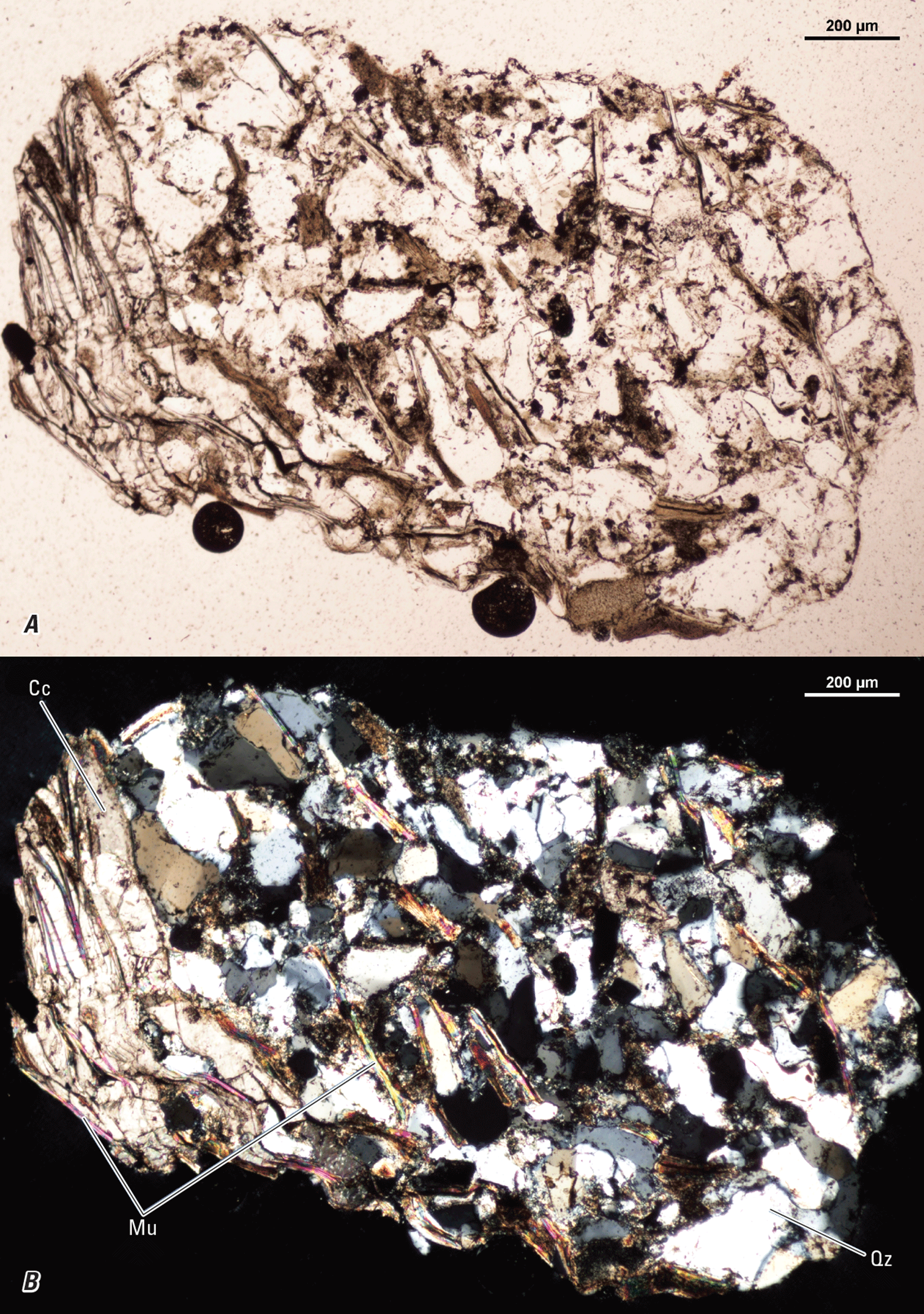 Magnified textures and structures of various minerals are shown in two kinds of light.
Representative minerals are labeled.