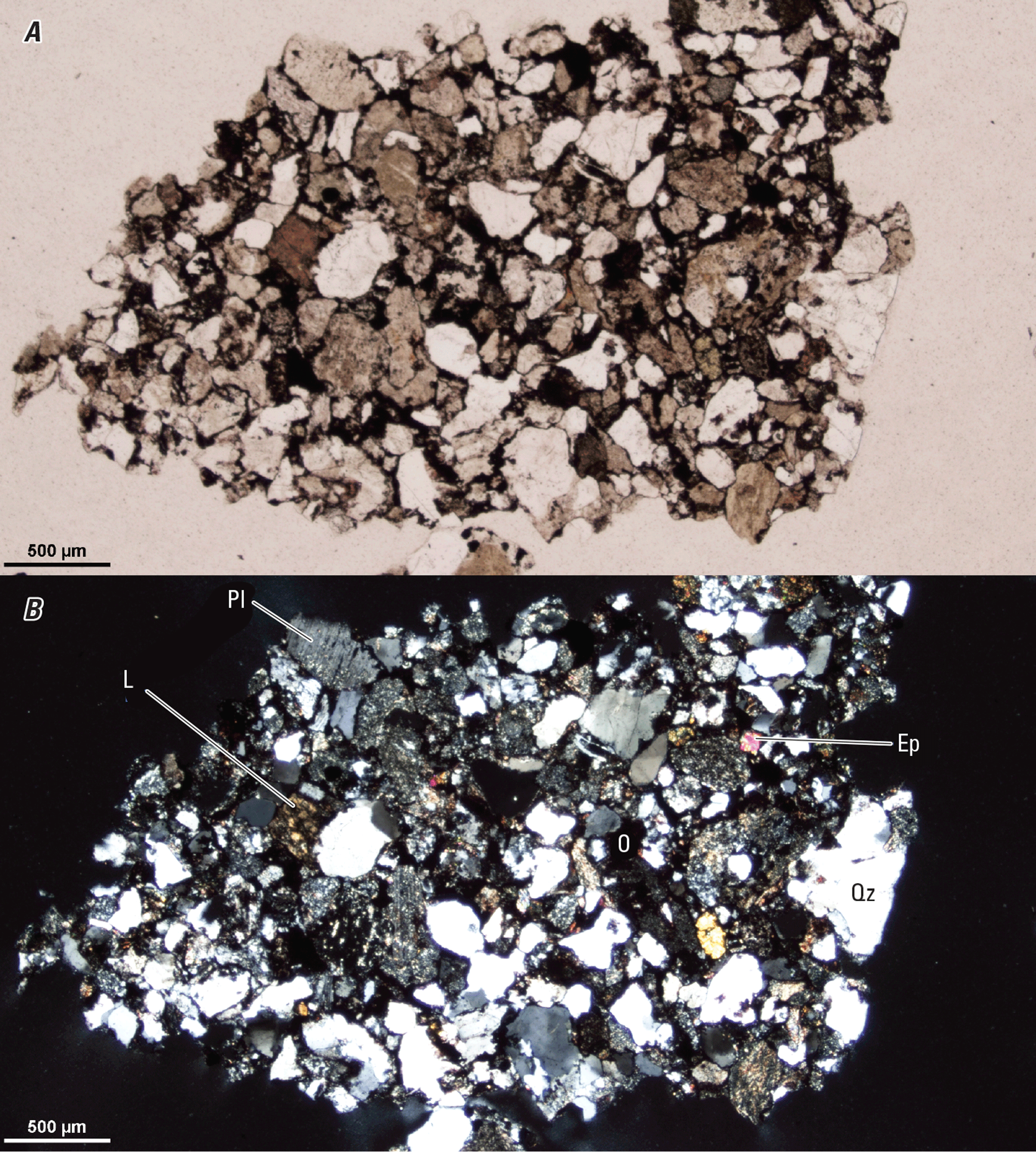 Magnified textures and structures of various clasts are shown in two kinds of light.
Some minerals and clasts are labeled.