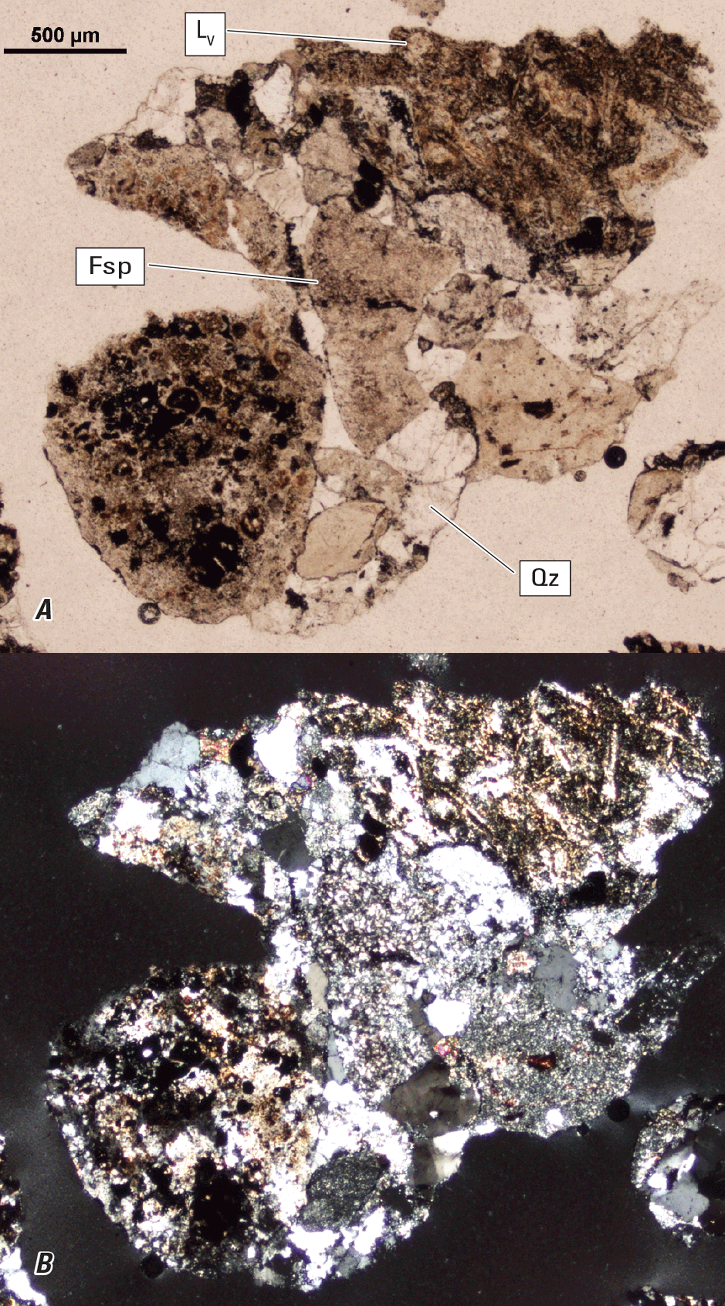 Magnified textures and structures of various clasts are shown in two kinds of light.
Some minerals and clasts are labeled.