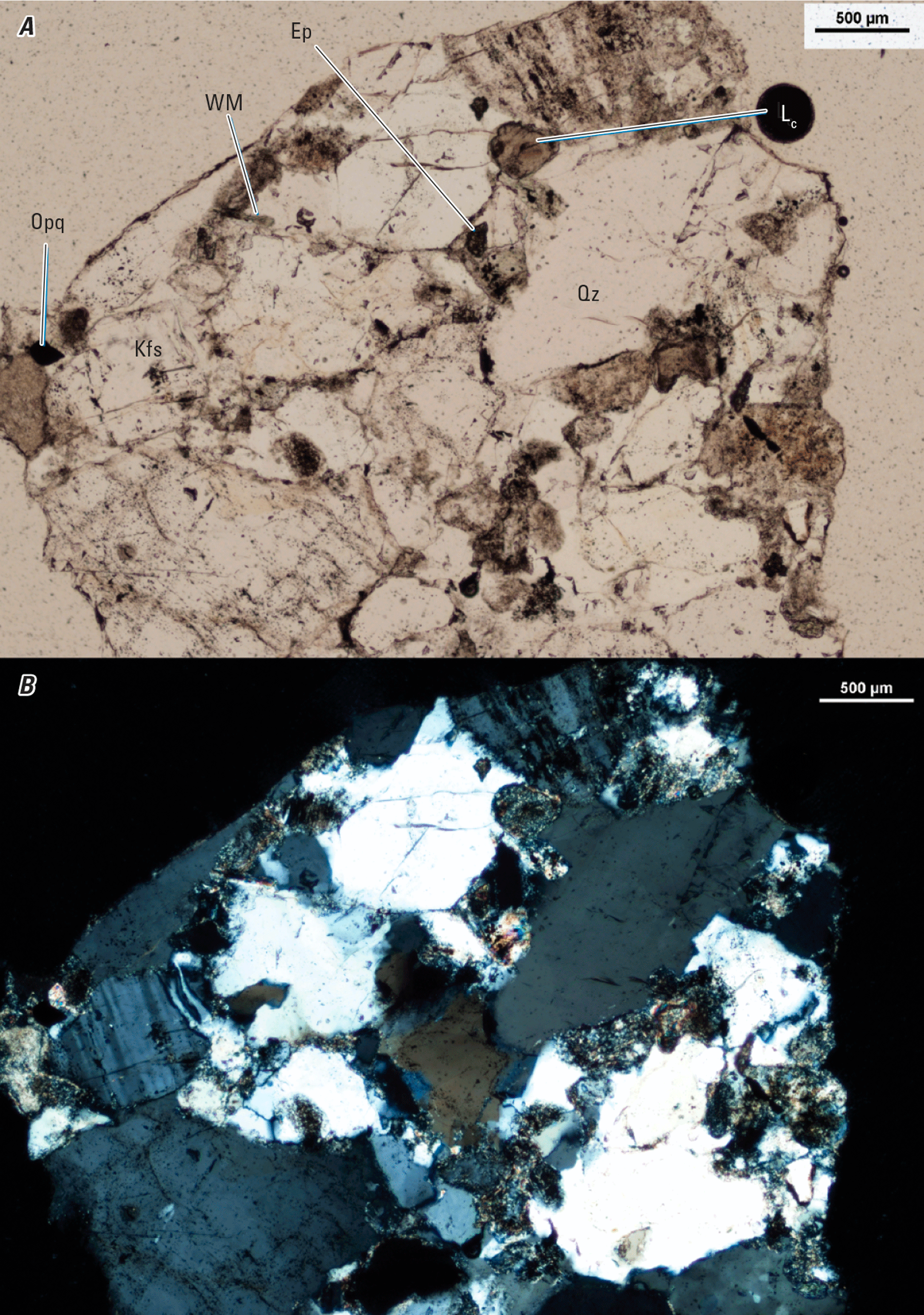 Magnified textures and structures of various minerals are shown in two kinds of light.
Representative minerals are labeled.