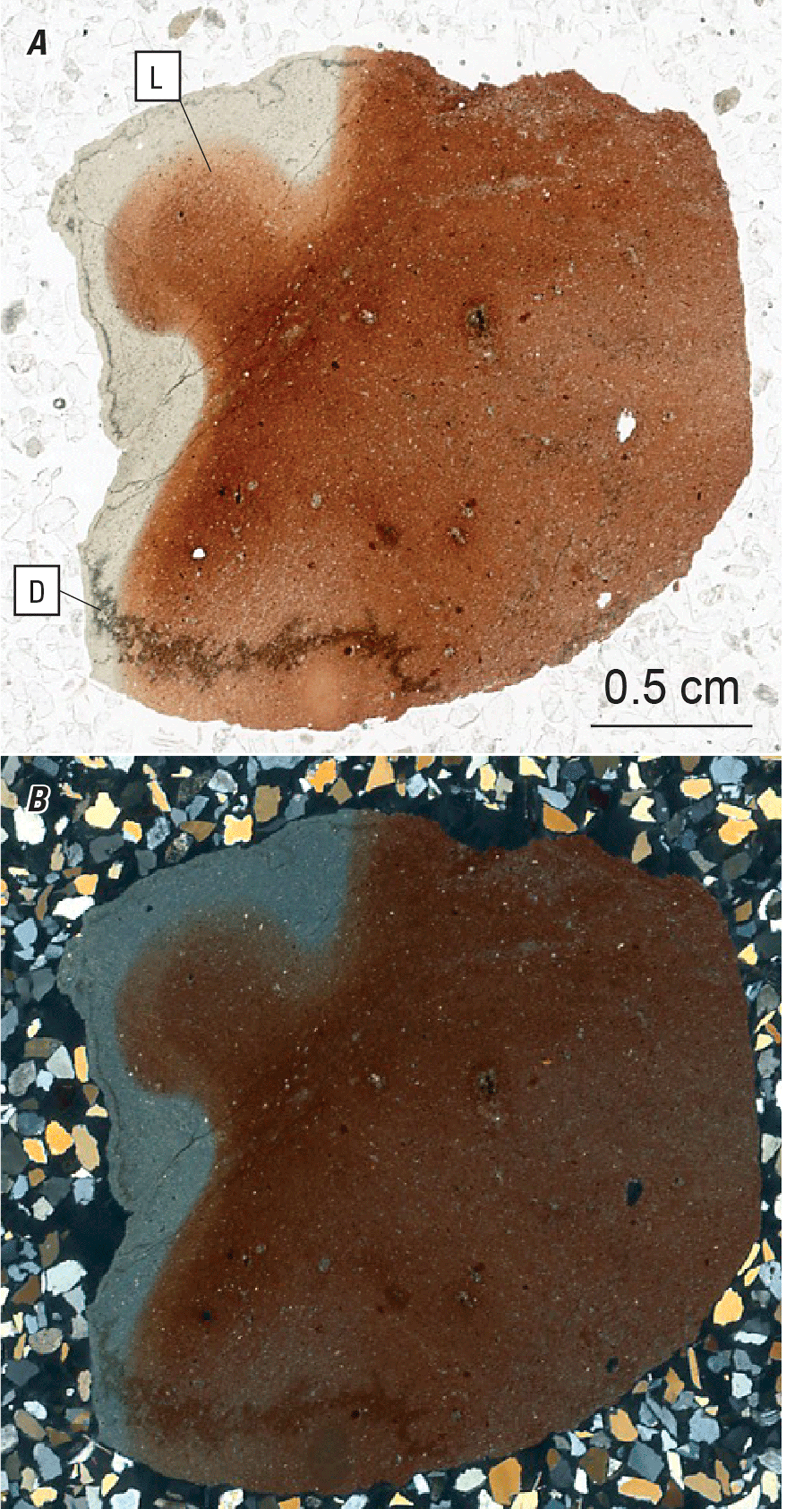 The magnified image of a core chip is shown in two kinds of light. Representative
structures are labeled.