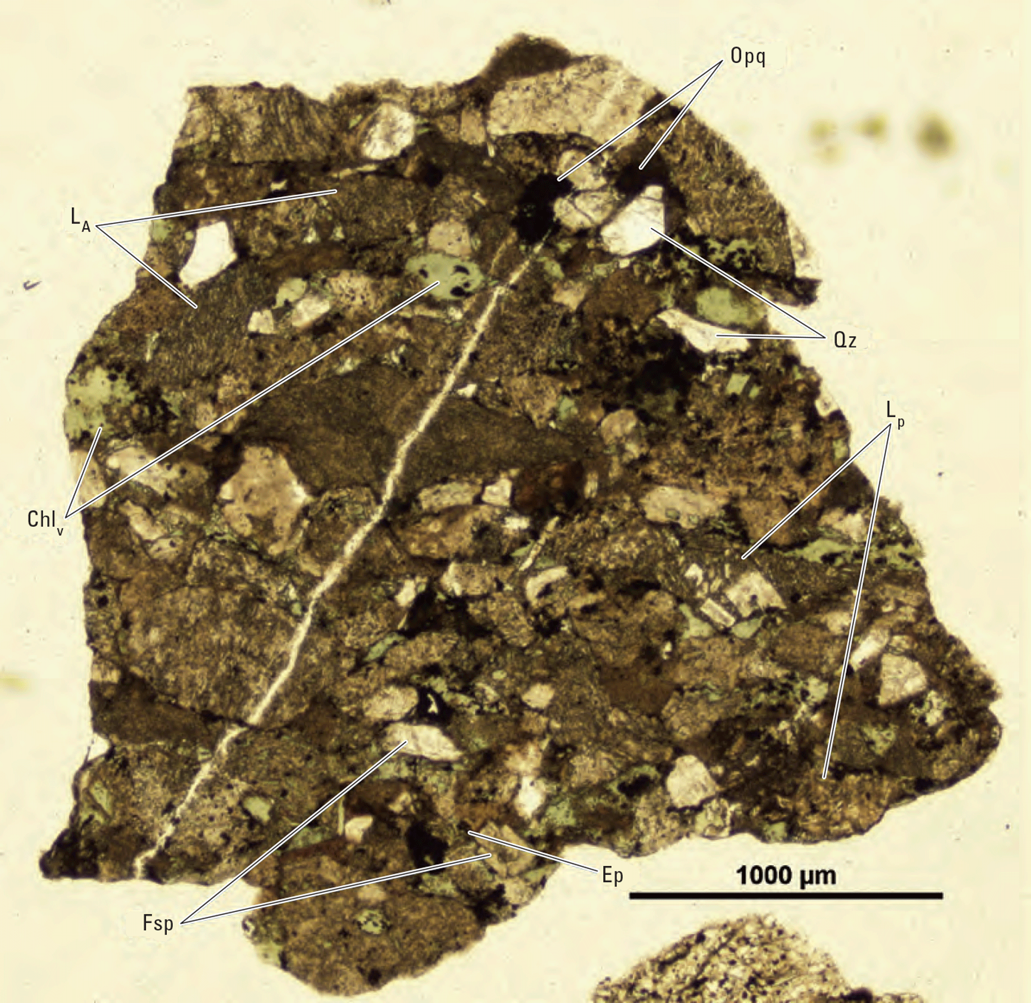 The magnified image of a cuttings fragment is shown. Representative minerals and clasts
are labeled.