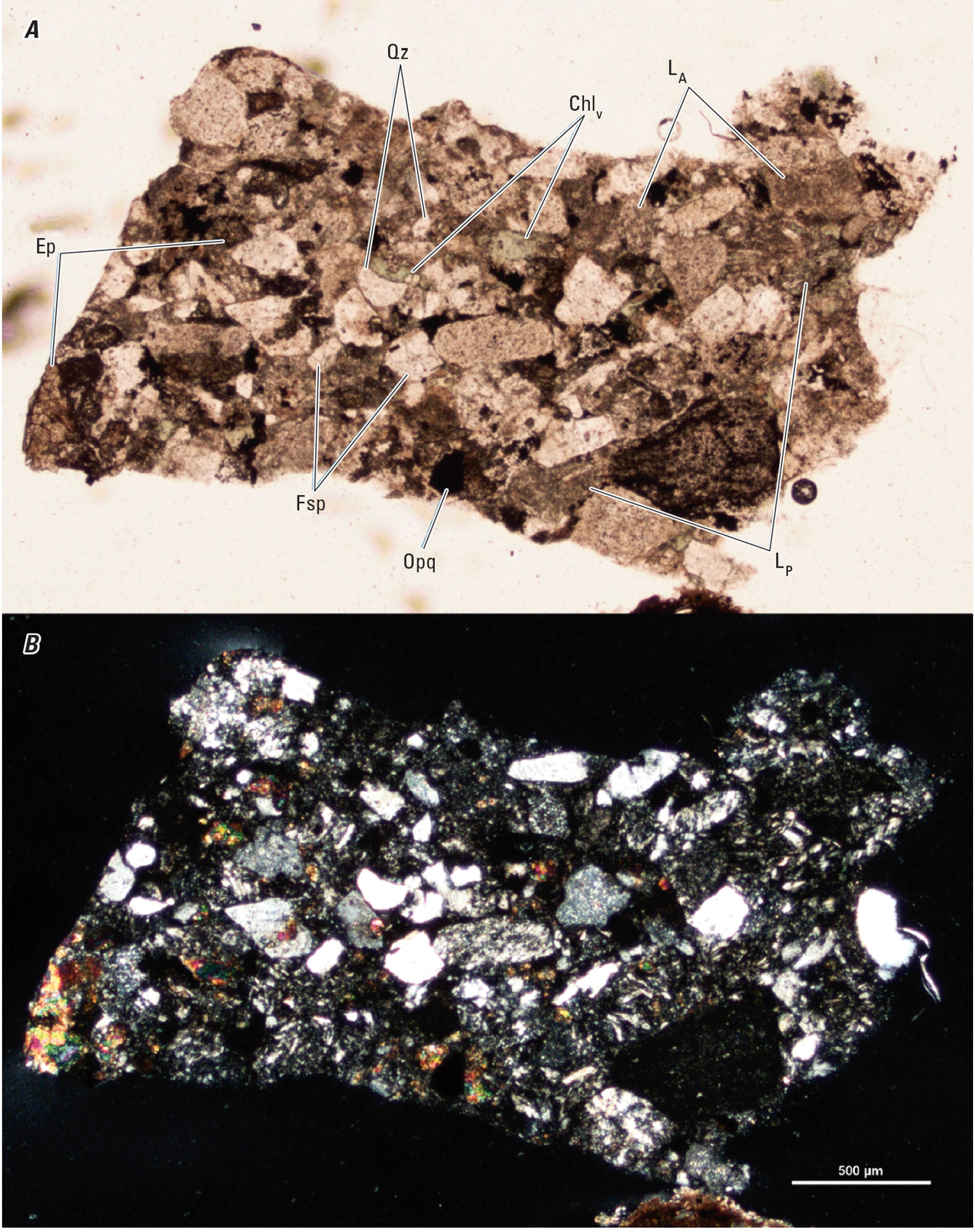 The magnified image of a cuttings fragment is shown in two kinds of light. Representative
minerals and clasts are labeled.