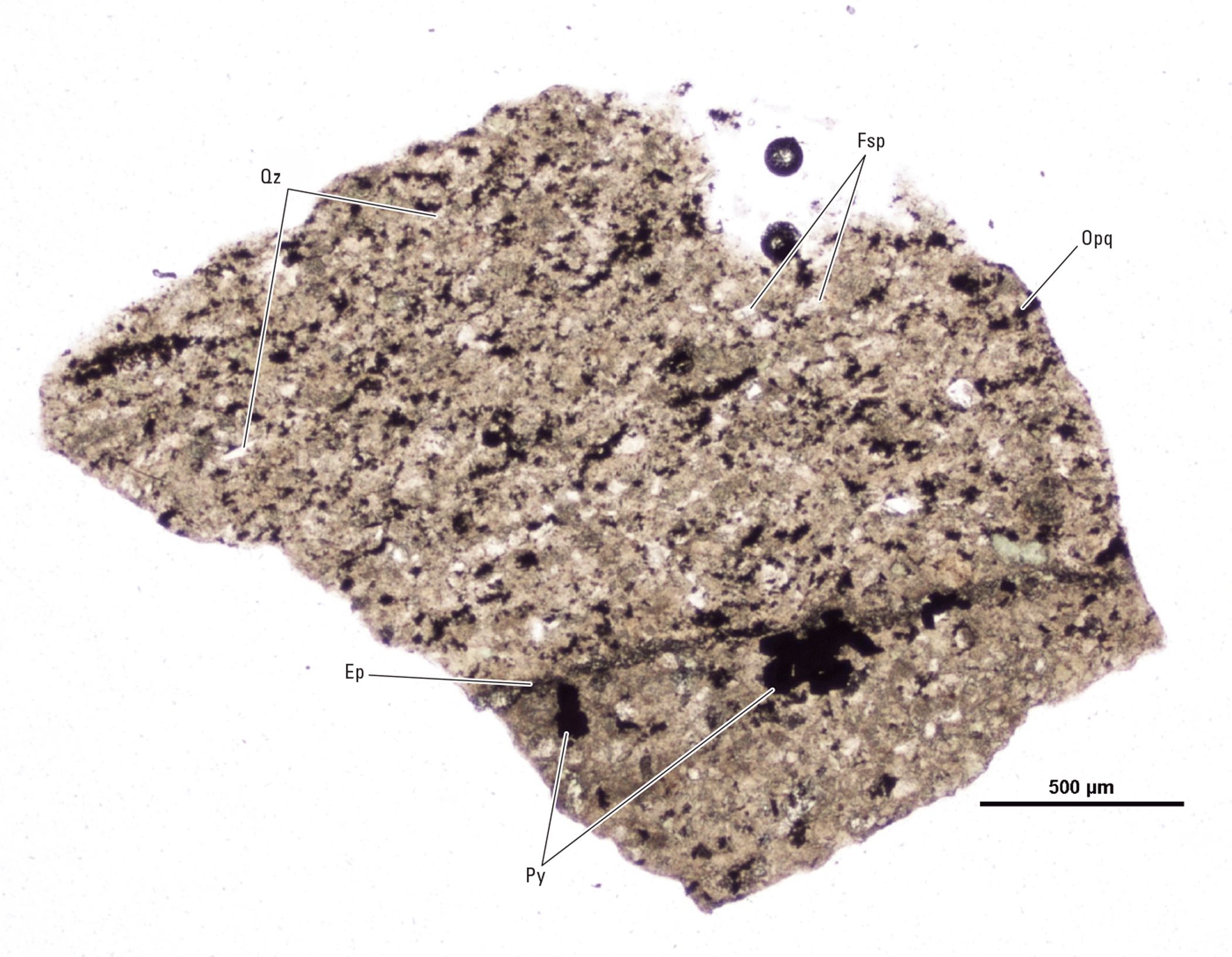 The magnified image of a cuttings fragment is shown. Representative minerals are labeled.
