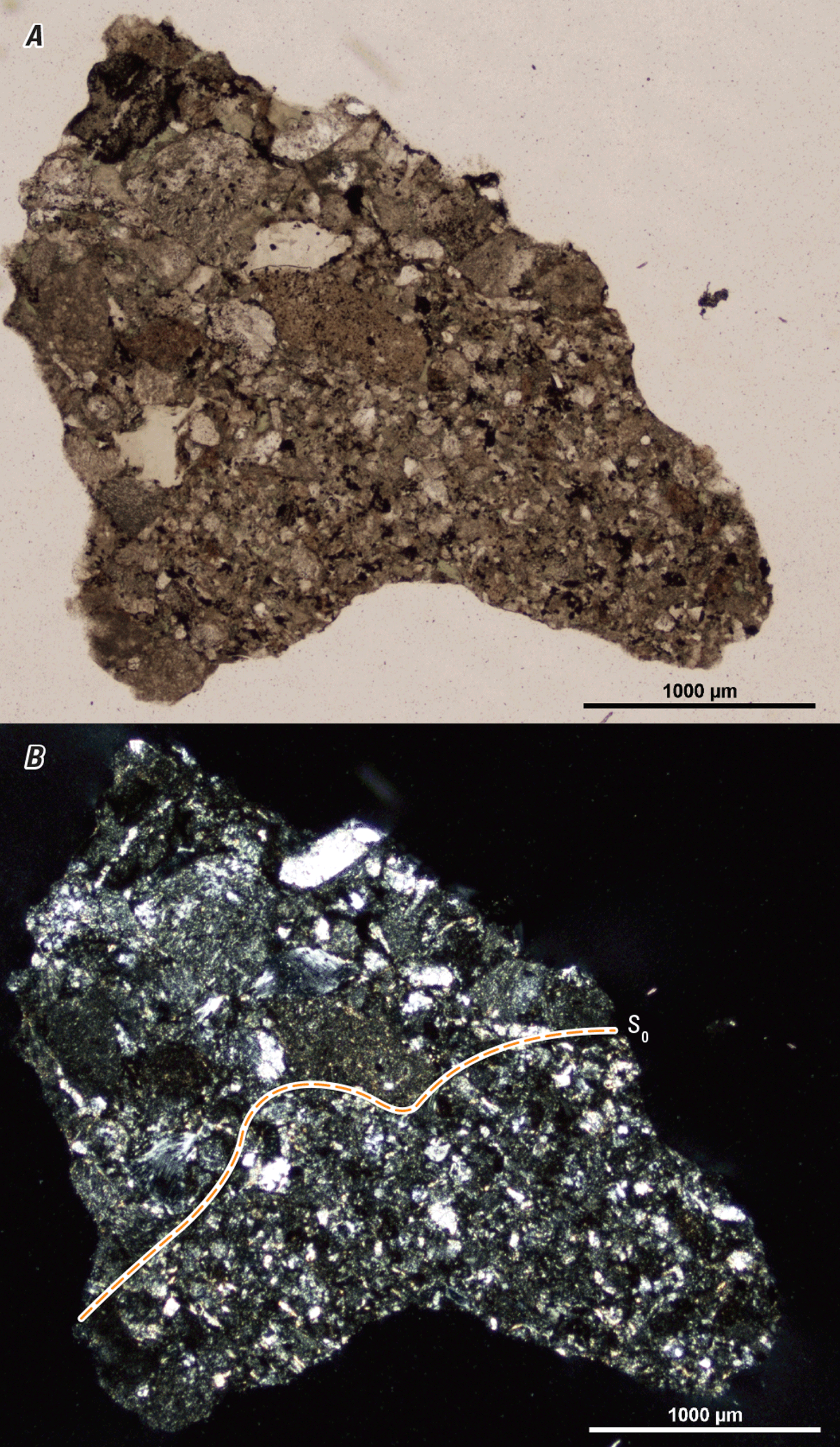 The magnified image of a cuttings fragment is shown in two kinds of light. An inferred
structure is demarcated with a line.