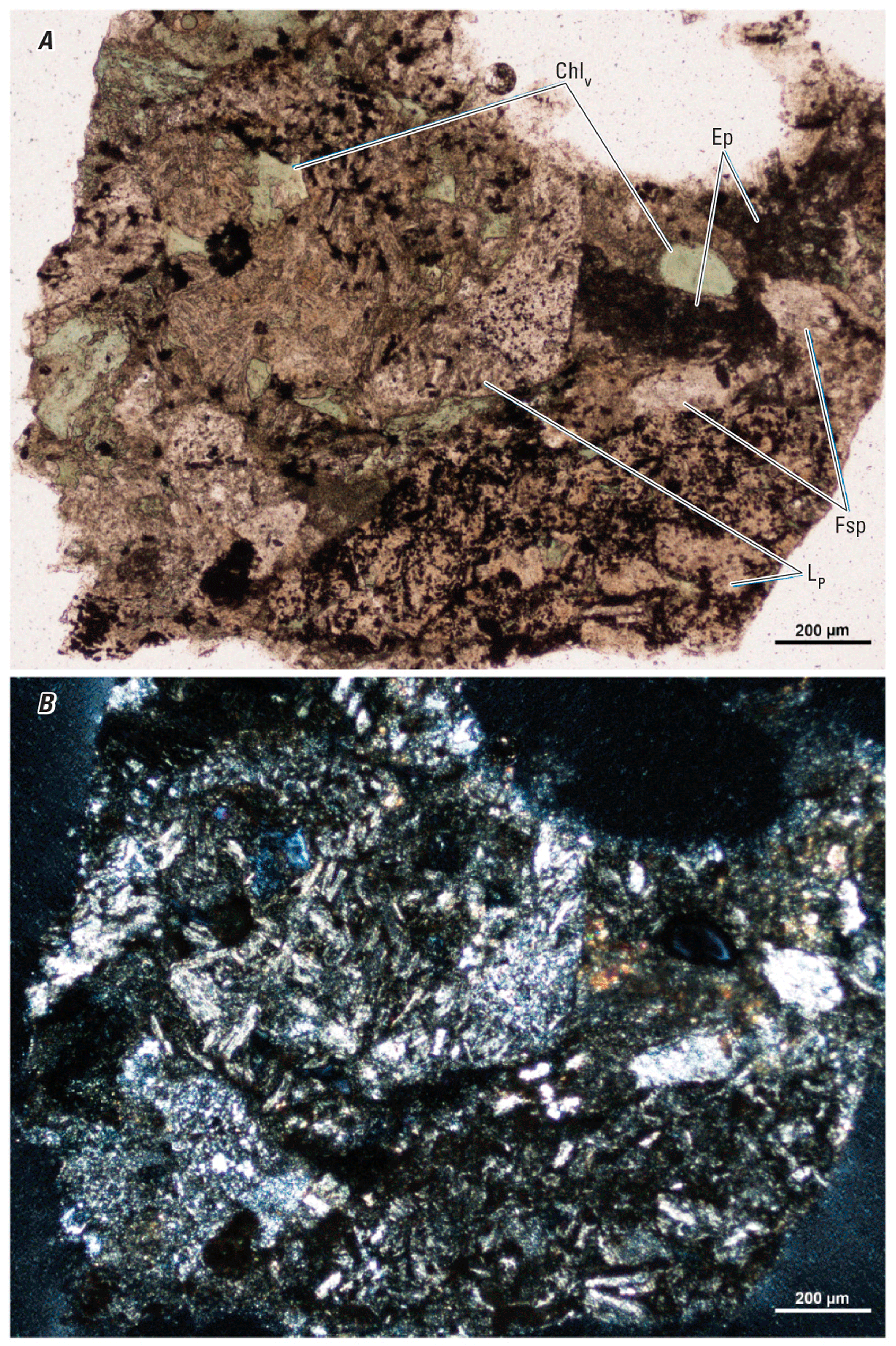 Magnified textures and structures of various minerals are shown in two kinds of light.
Some minerals and clasts are labeled.
