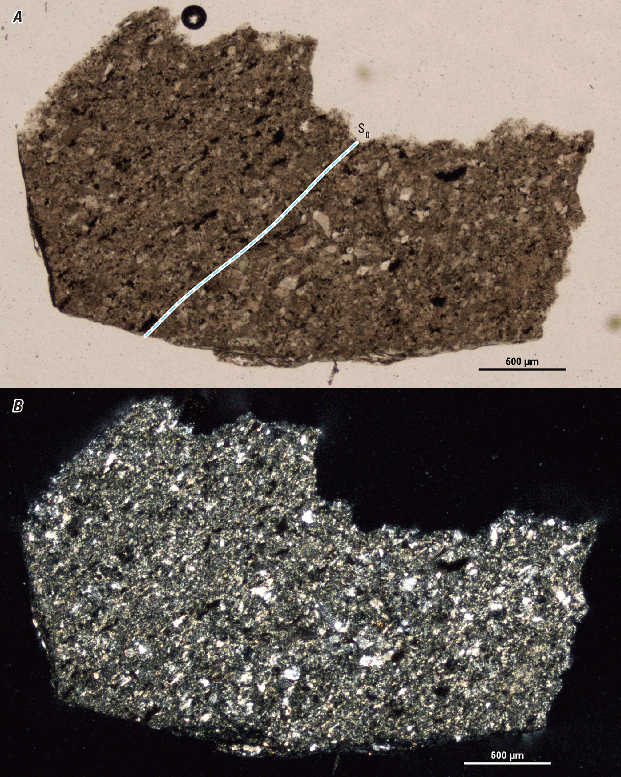 The magnified image of a cuttings fragment is shown in two kinds of light. An inferred
structure is demarcated with a line.