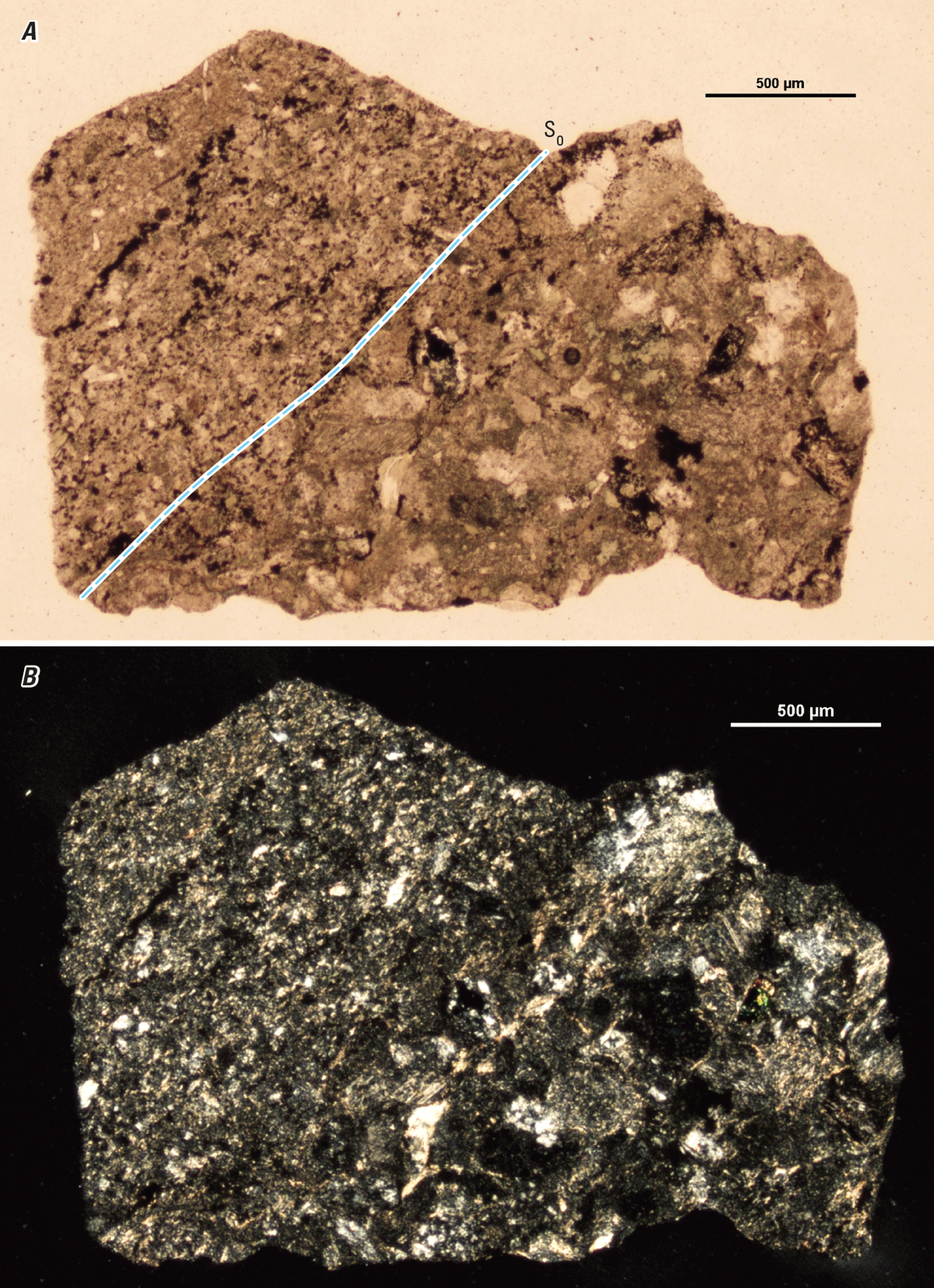 The magnified image of a cuttings fragment is shown in two kinds of light. An inferred
structure is demarcated with a line.