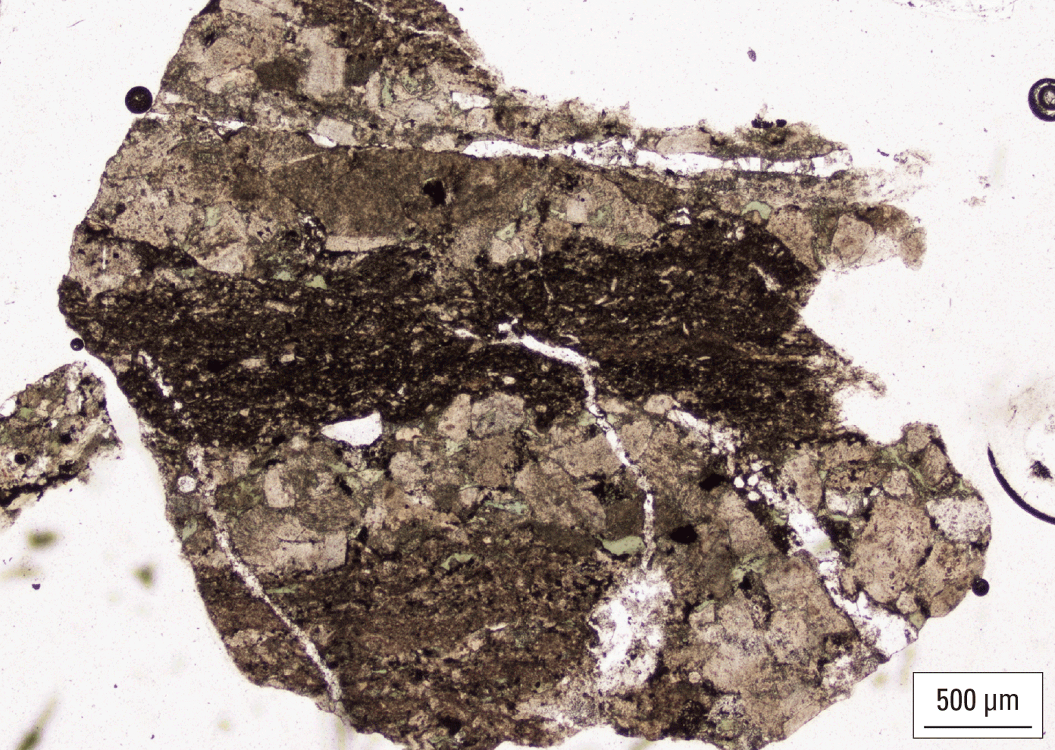 The magnified image of a cuttings fragment is shown.