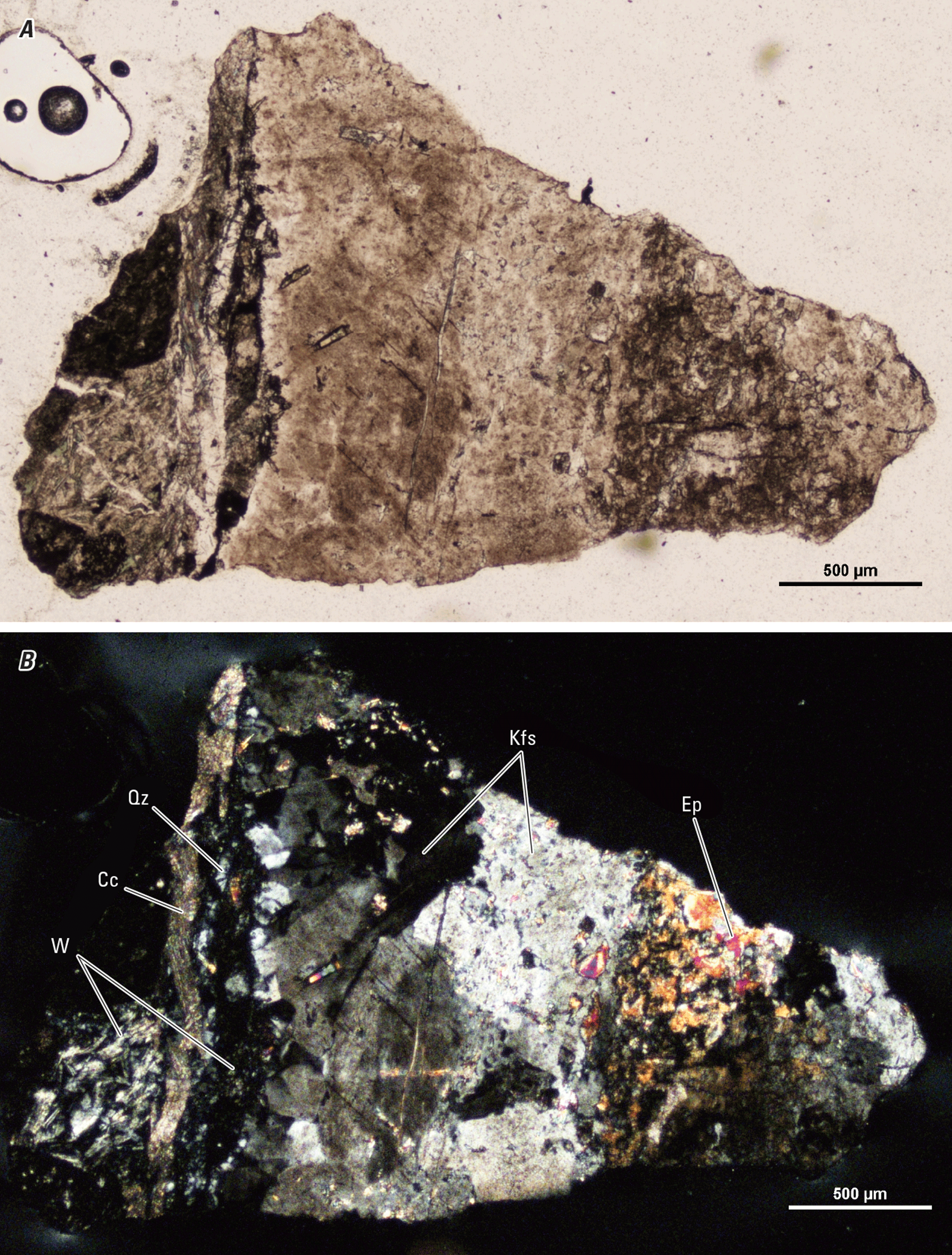 The magnified image of a cuttings fragment is shown in two kinds of light. Representative
minerals are labeled.