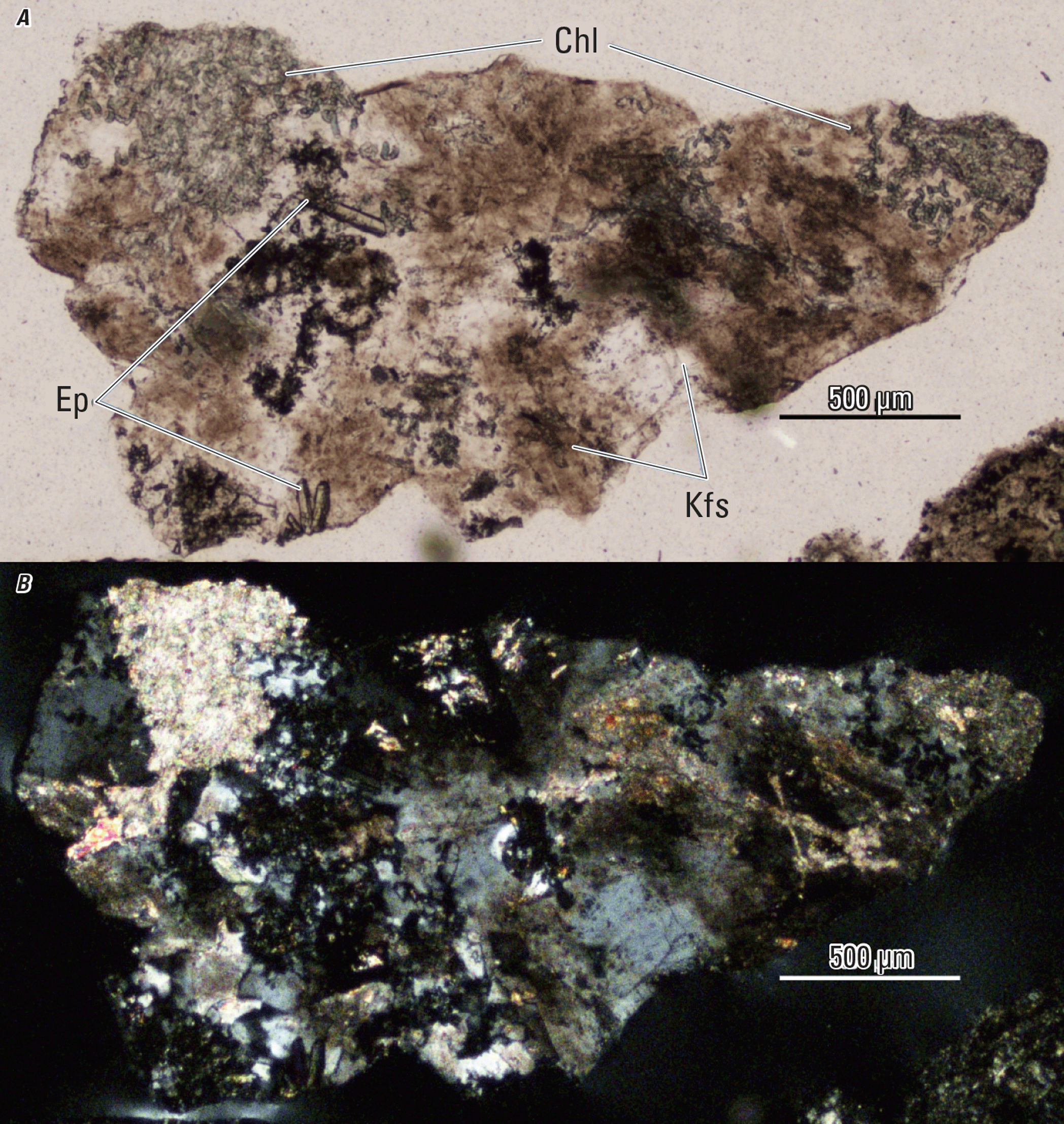 The magnified image of a cuttings fragment is shown in two kinds of light. Representative
minerals are labeled.
